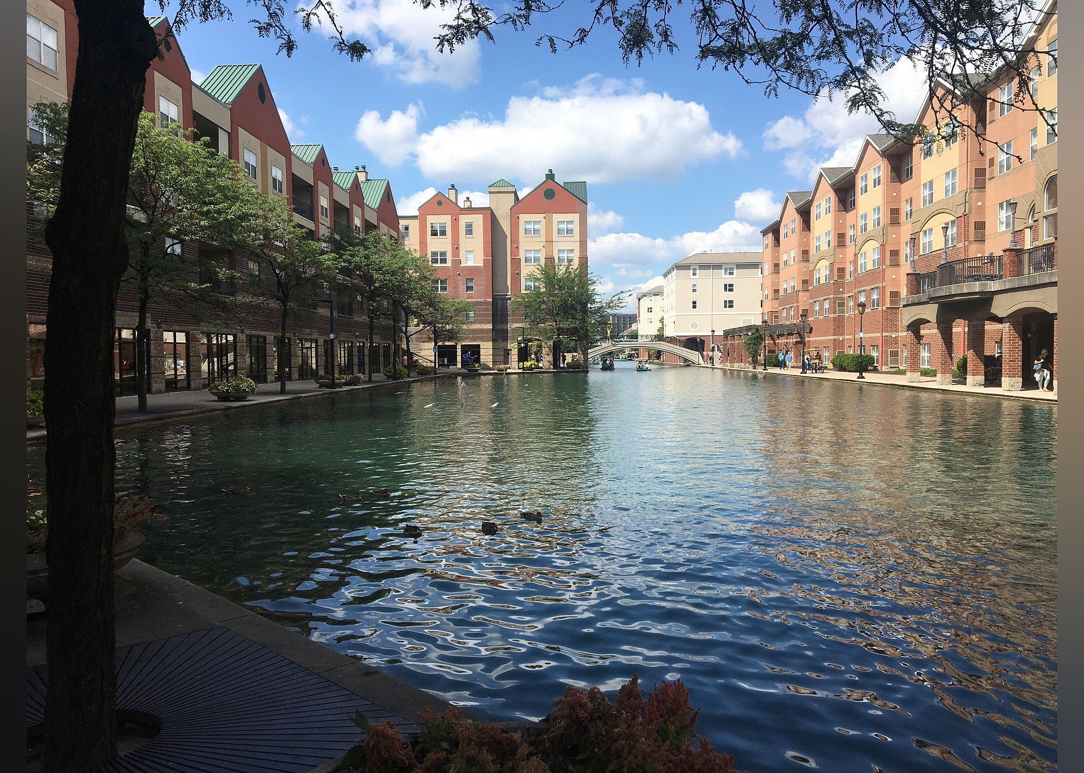 #1. Central Canal