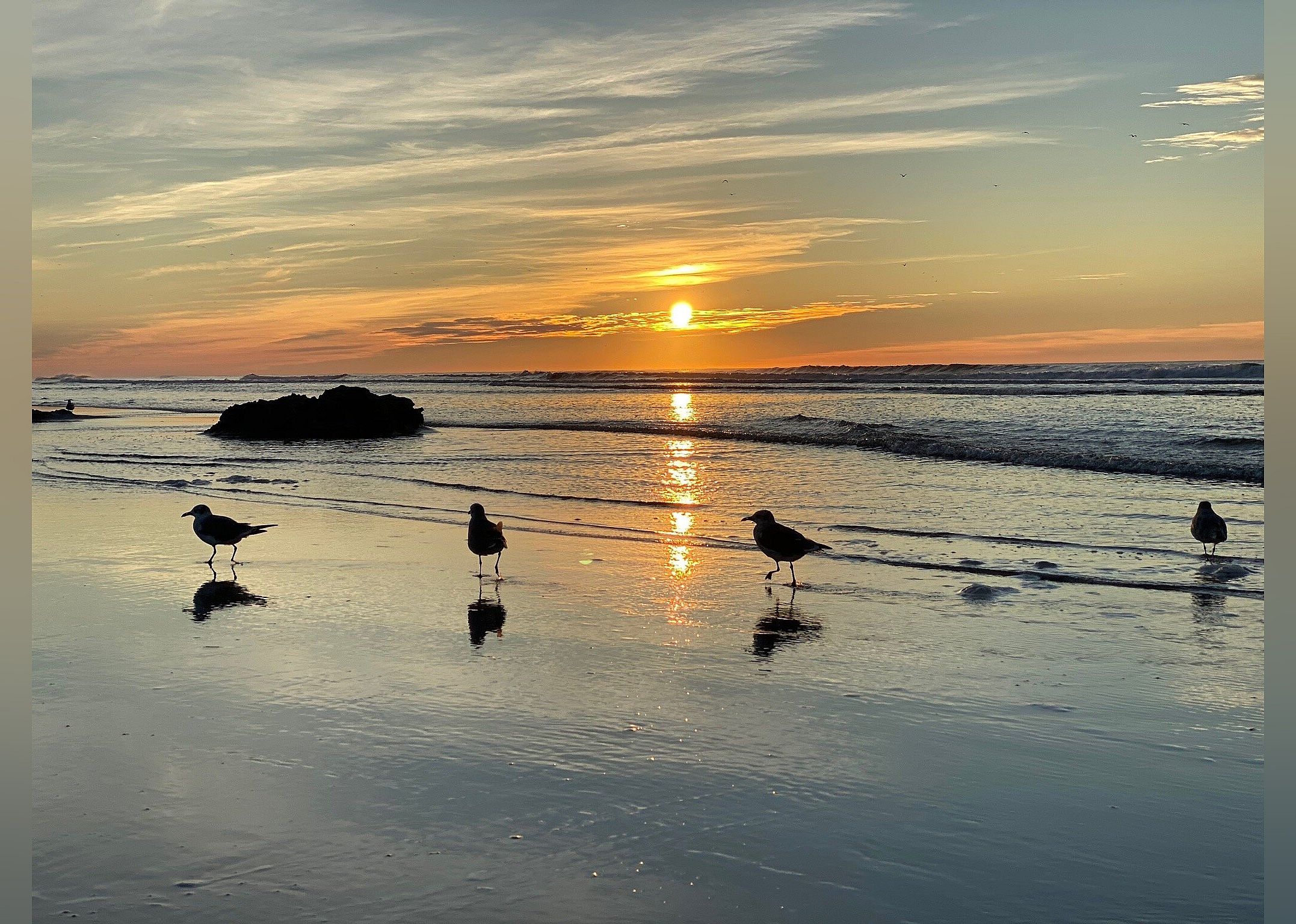 #11. Wildwood Beach