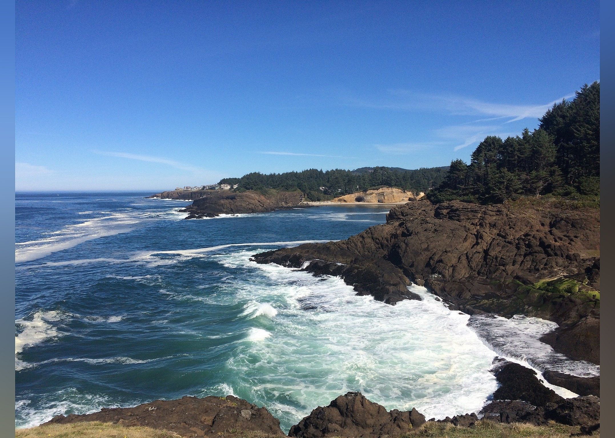 #6. Otter Crest Loop