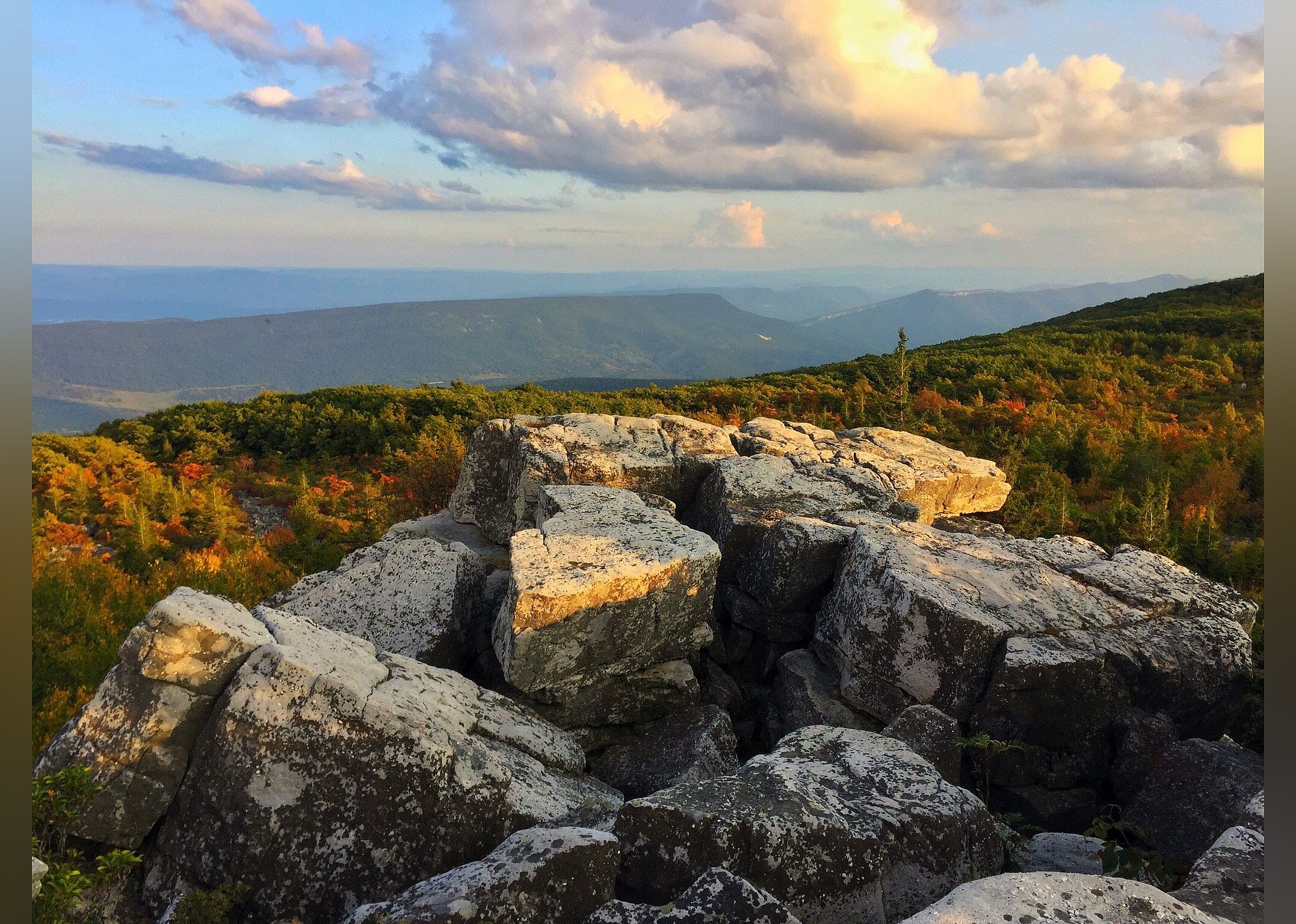 #20. Dolly Sods Wilderness Area