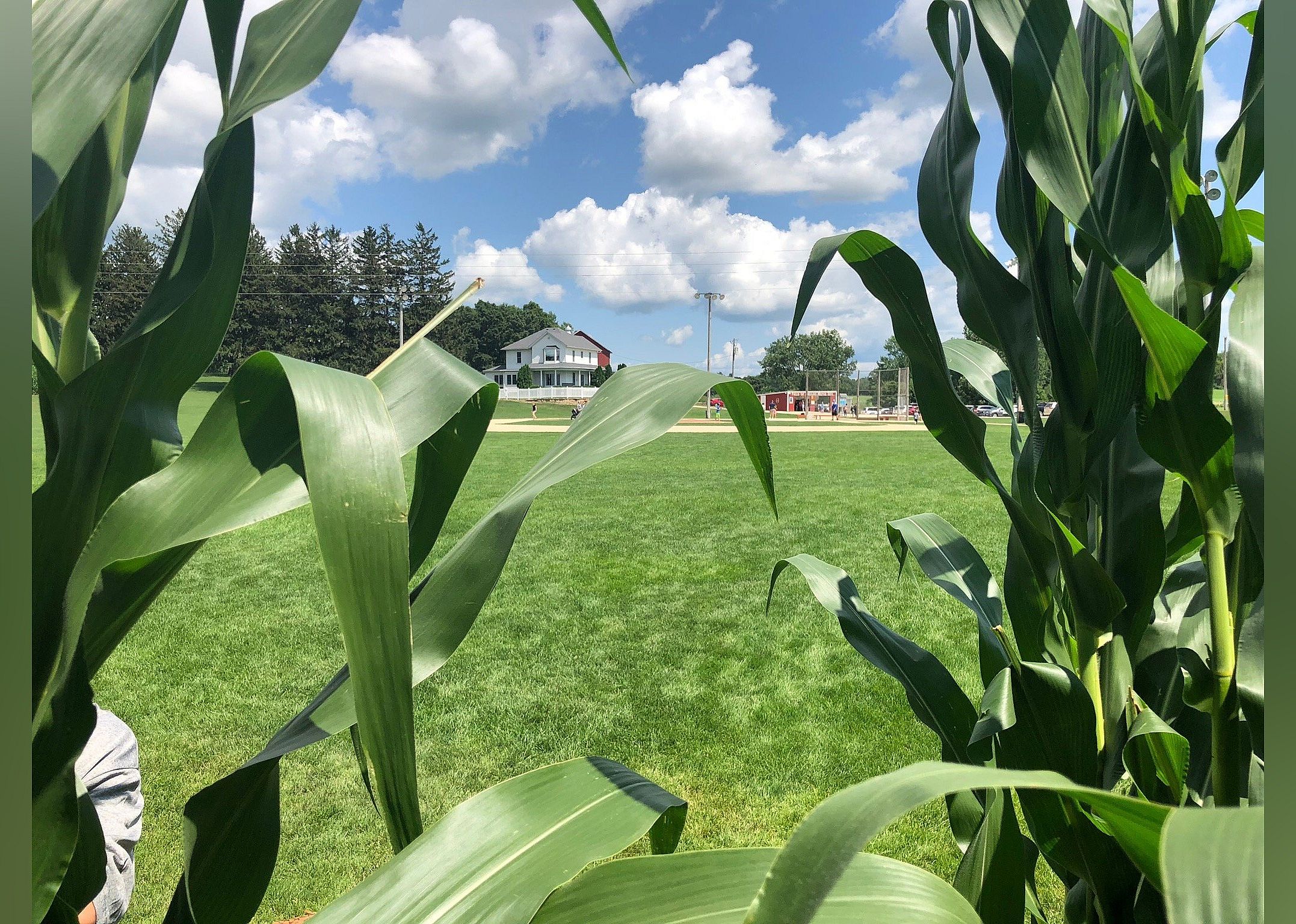 #1. Field of Dreams Movie Site