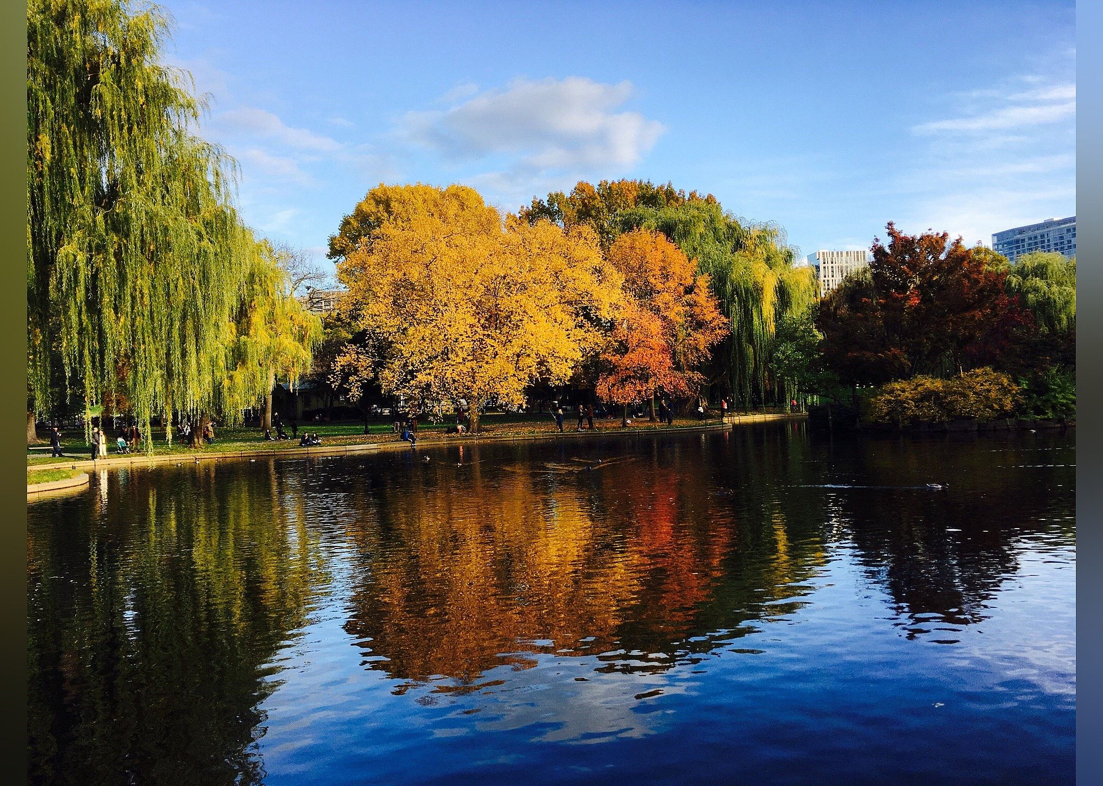 #7. Boston Public Garden
