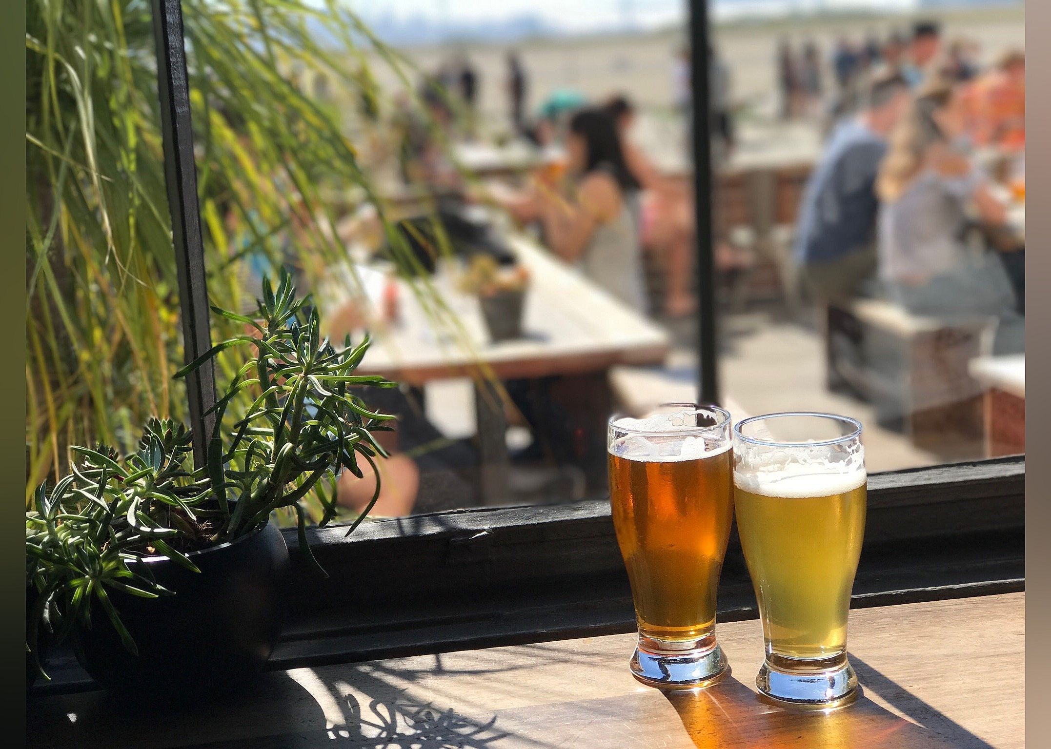 #19. Faction Brewing