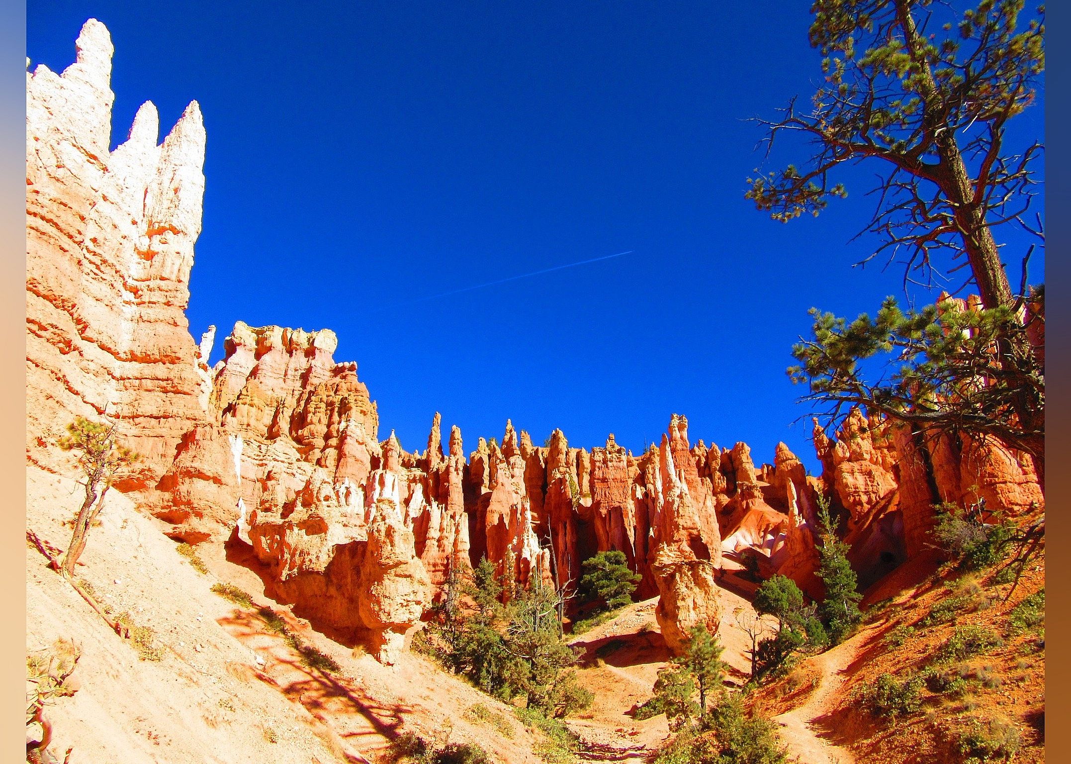 #27. Navajo Queens Garden Loop