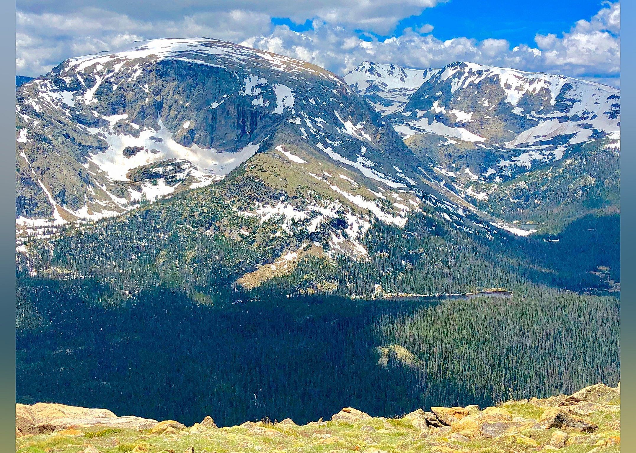 #5. Forest Canyon Overlook