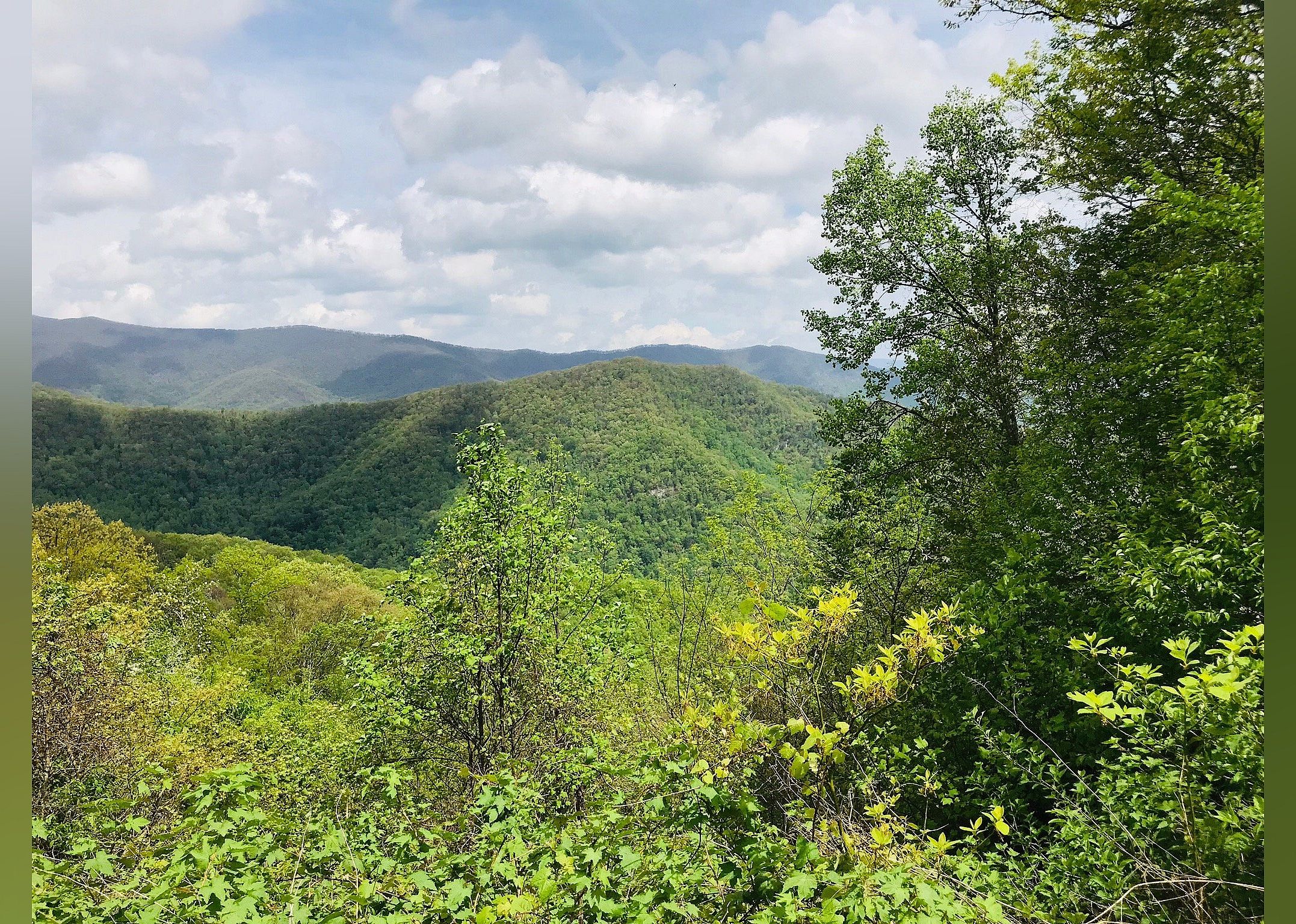 #6. Cherohala Skyway