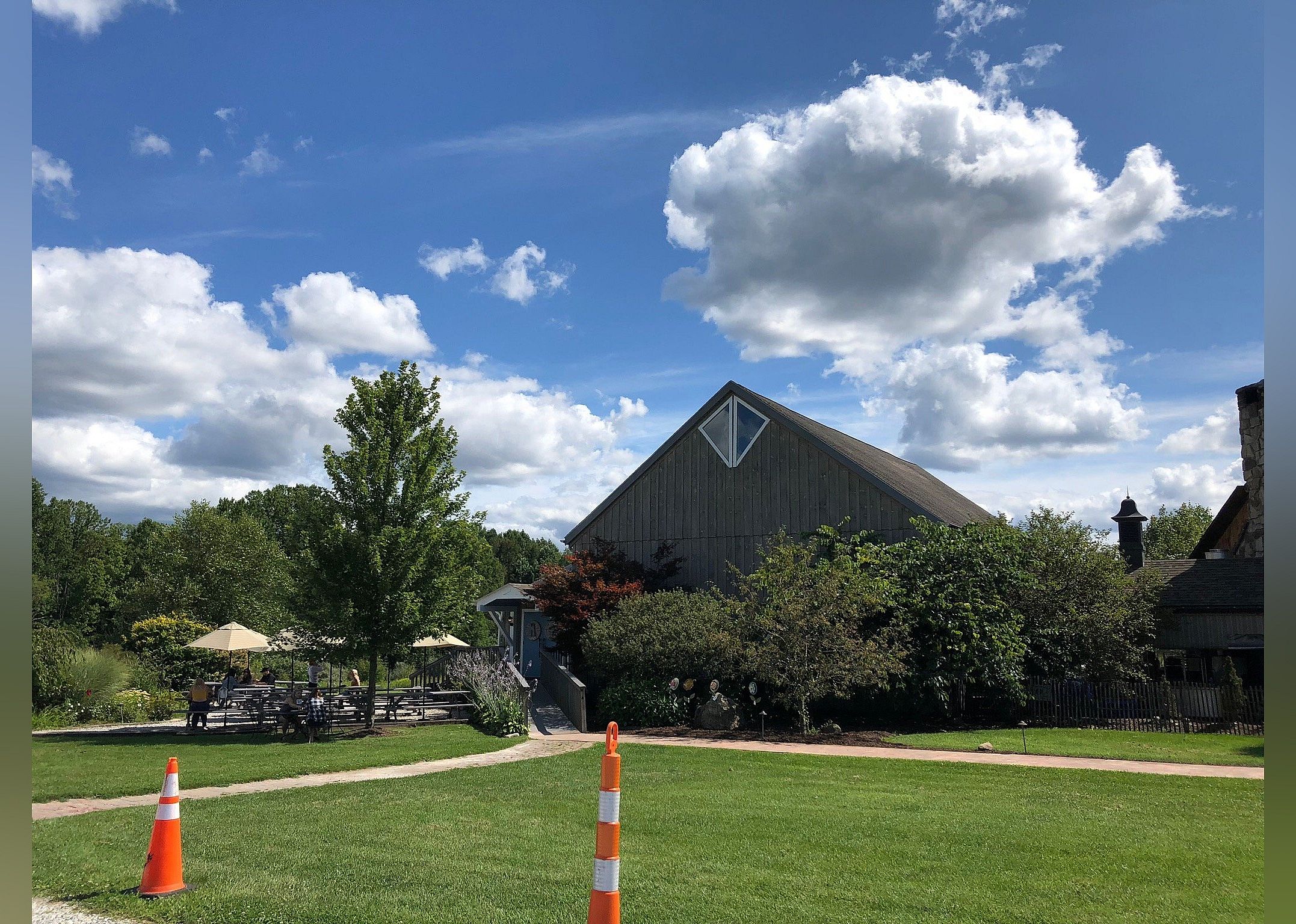 #9. Sarah's Vineyard