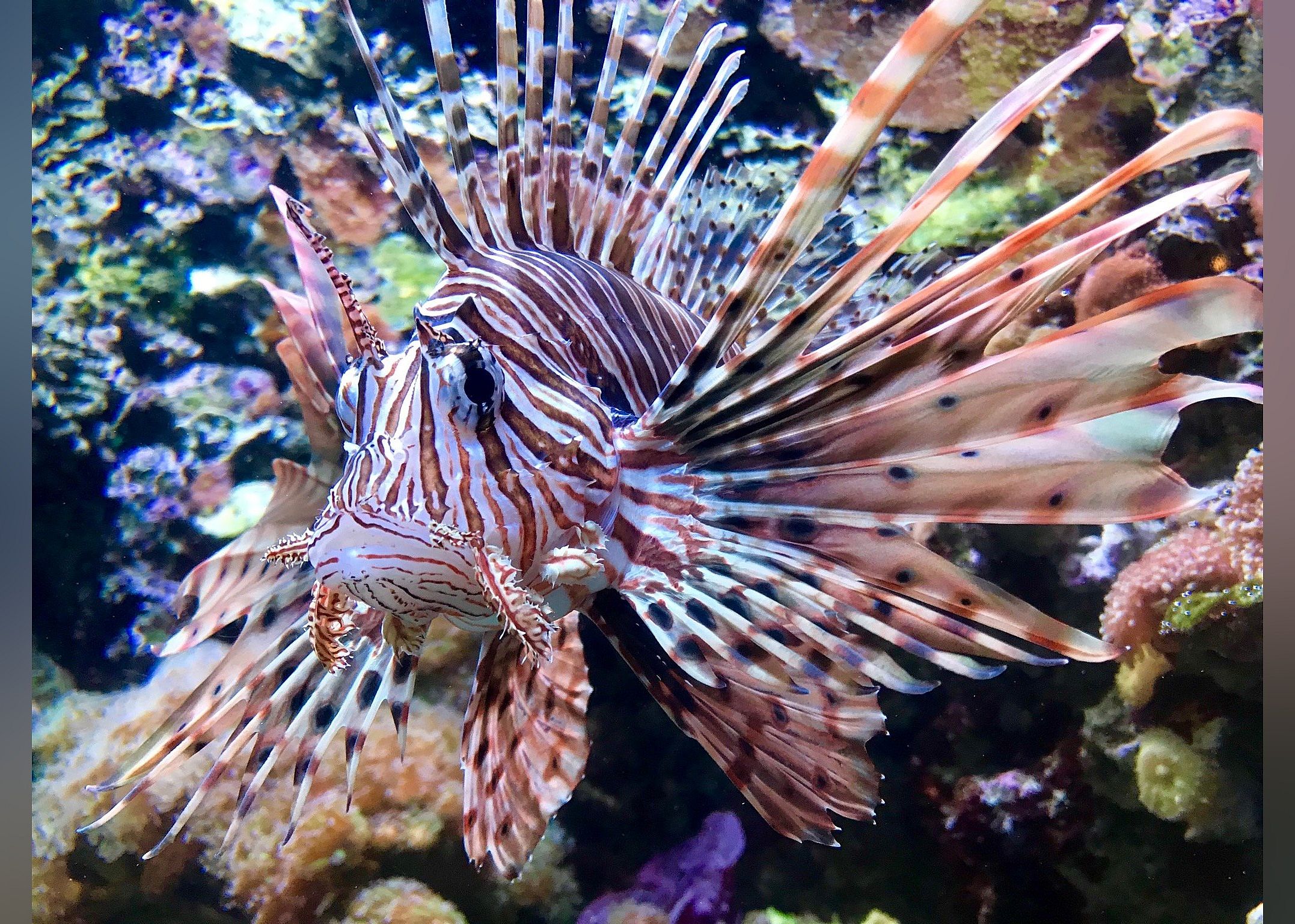 #20. Seattle Aquarium