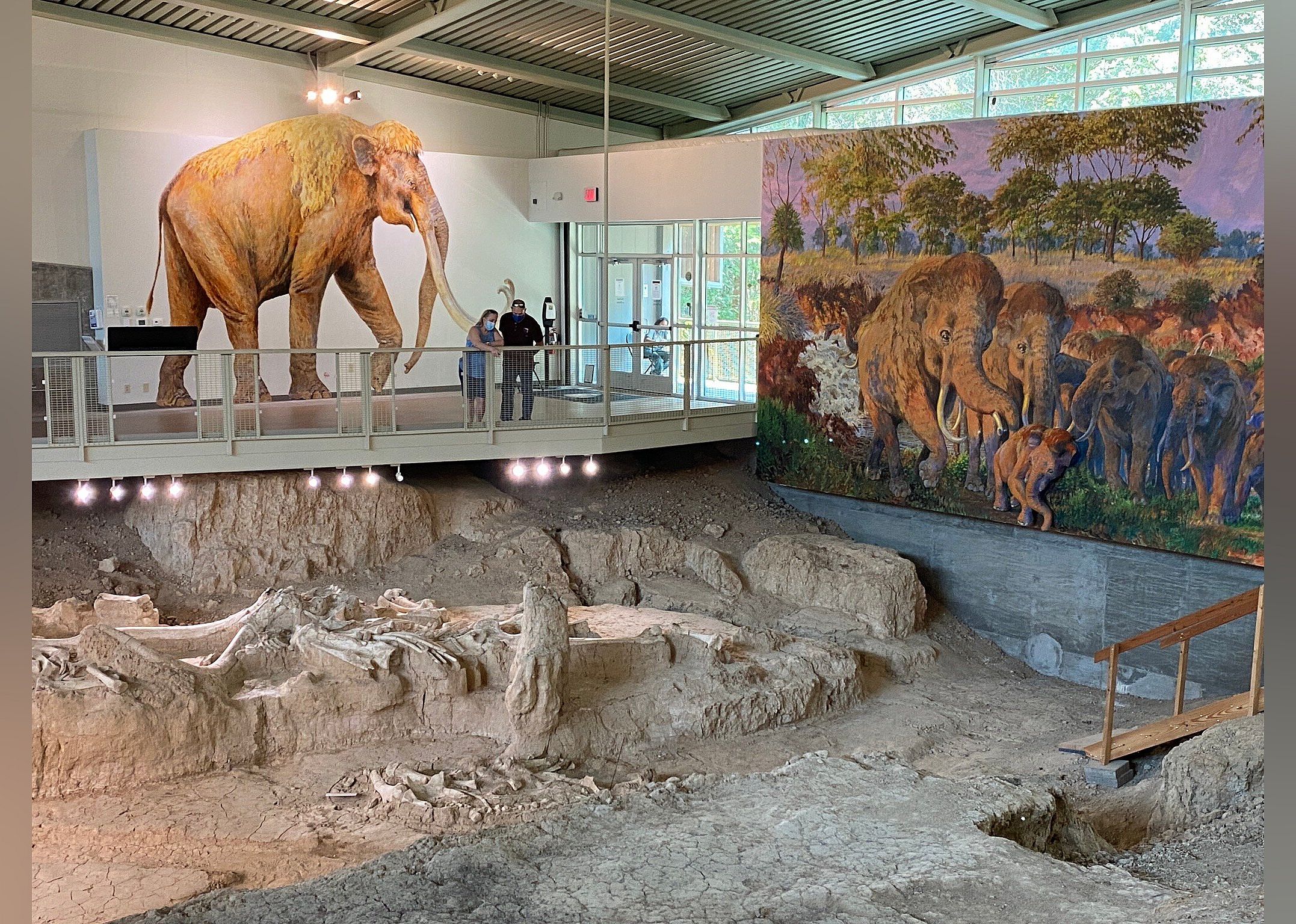 #6. Waco Mammoth National Monument