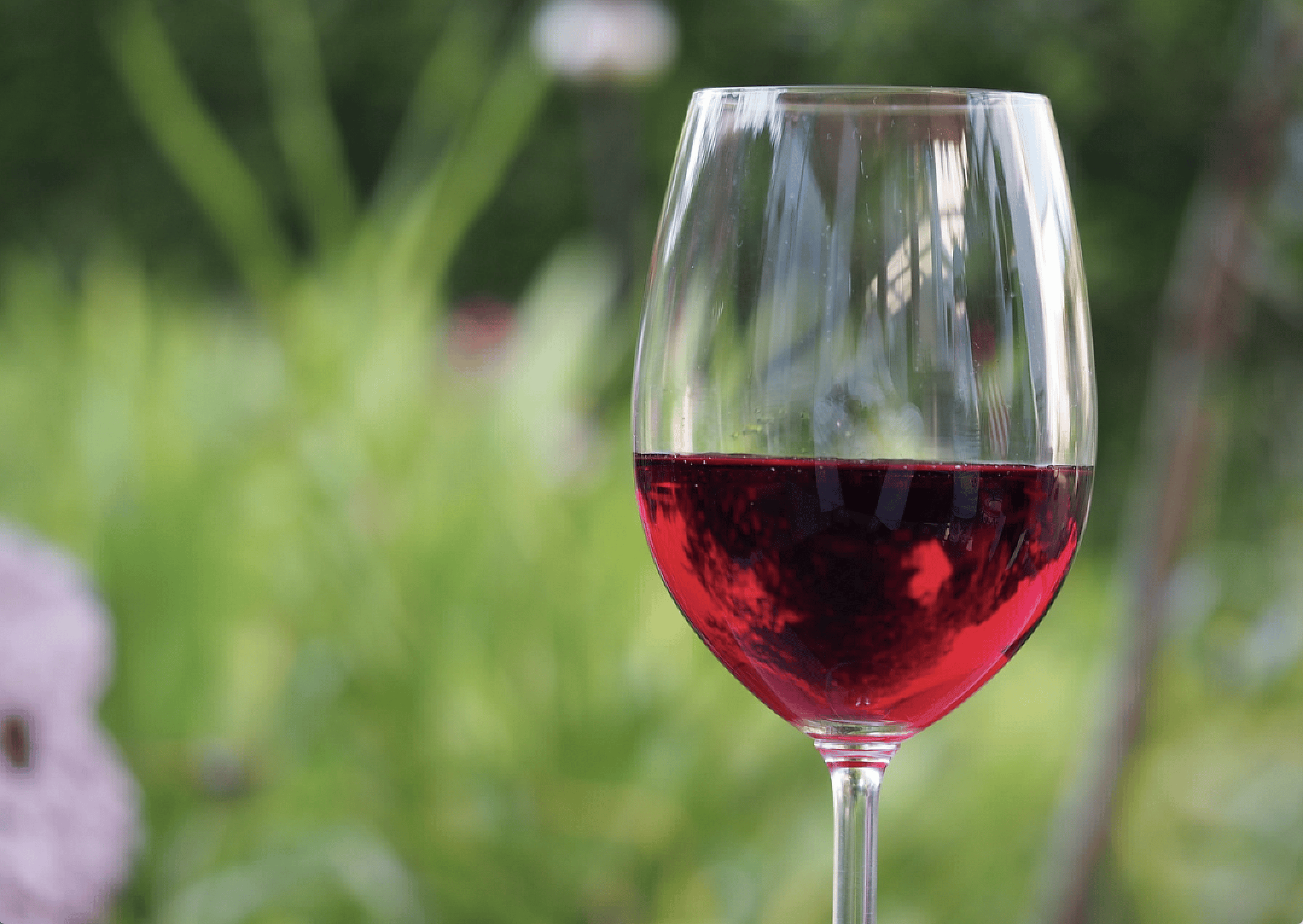 Wine, beer, and related products