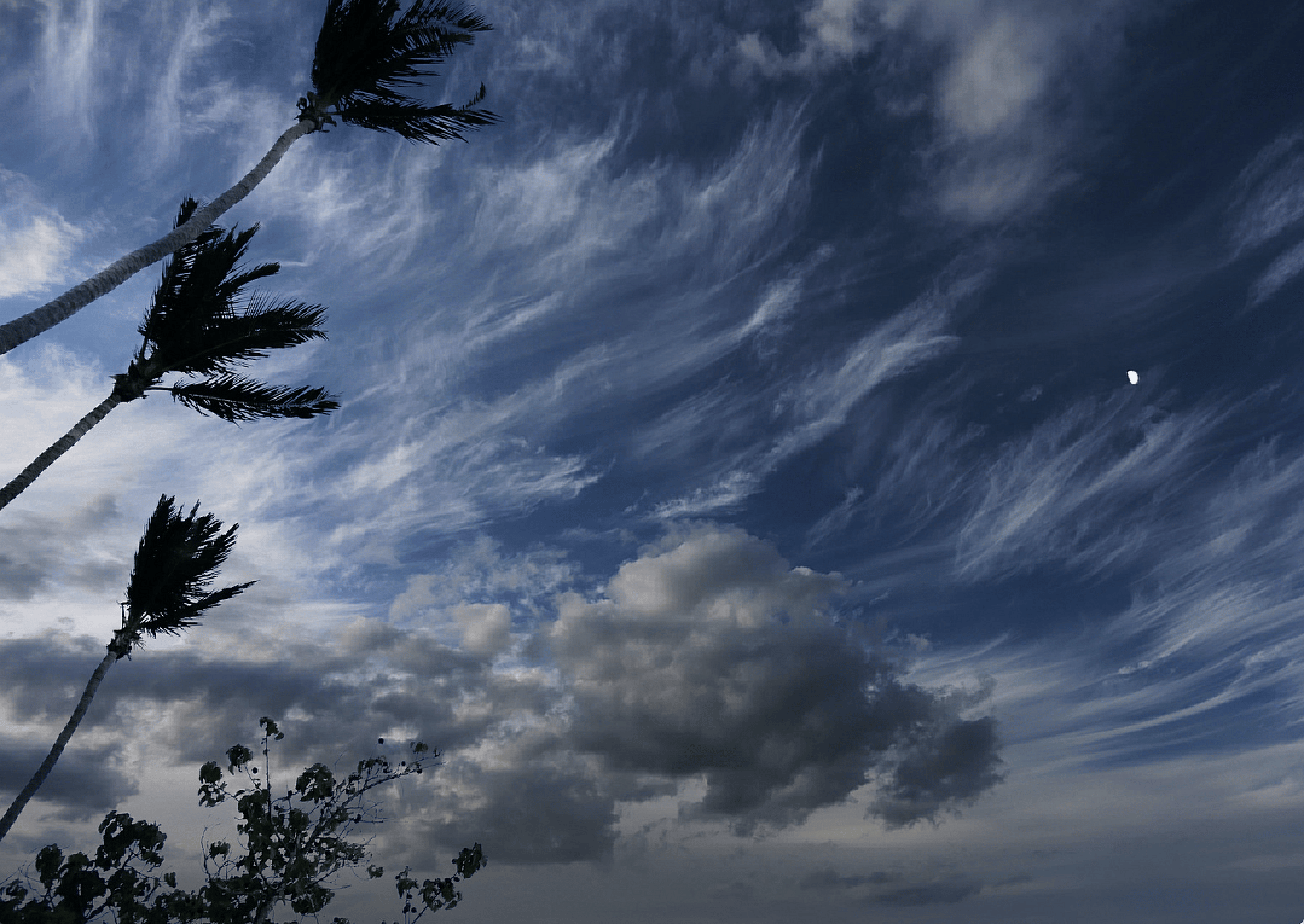 Hurricane Matthew