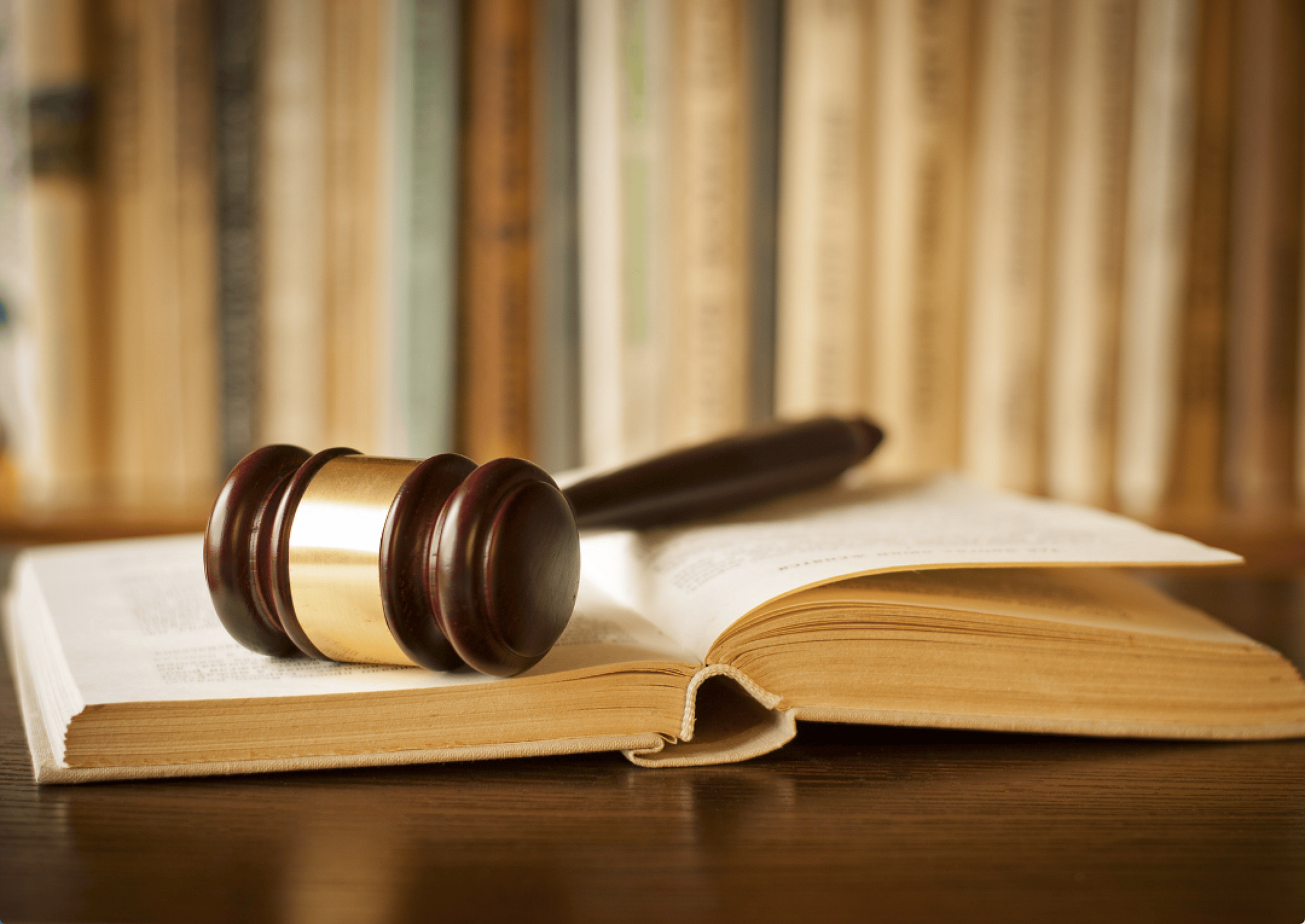 Question #12: What is the "rule of law"?