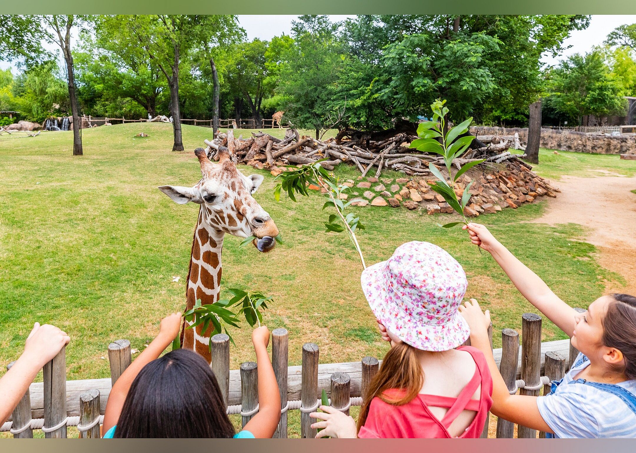 #23. Fort Worth Zoo