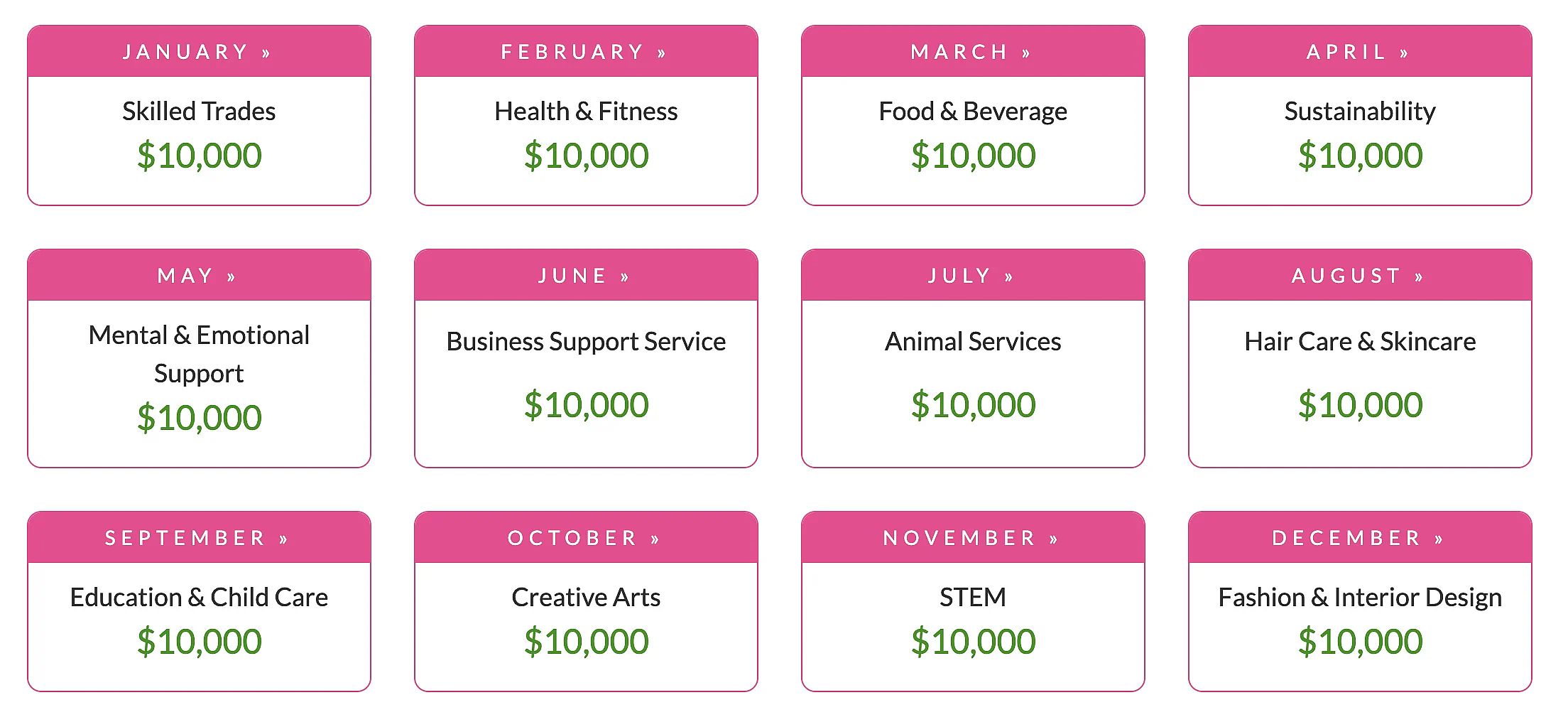 Iinfographic showing the 12 categories for each month in the Business-Specific Grant.