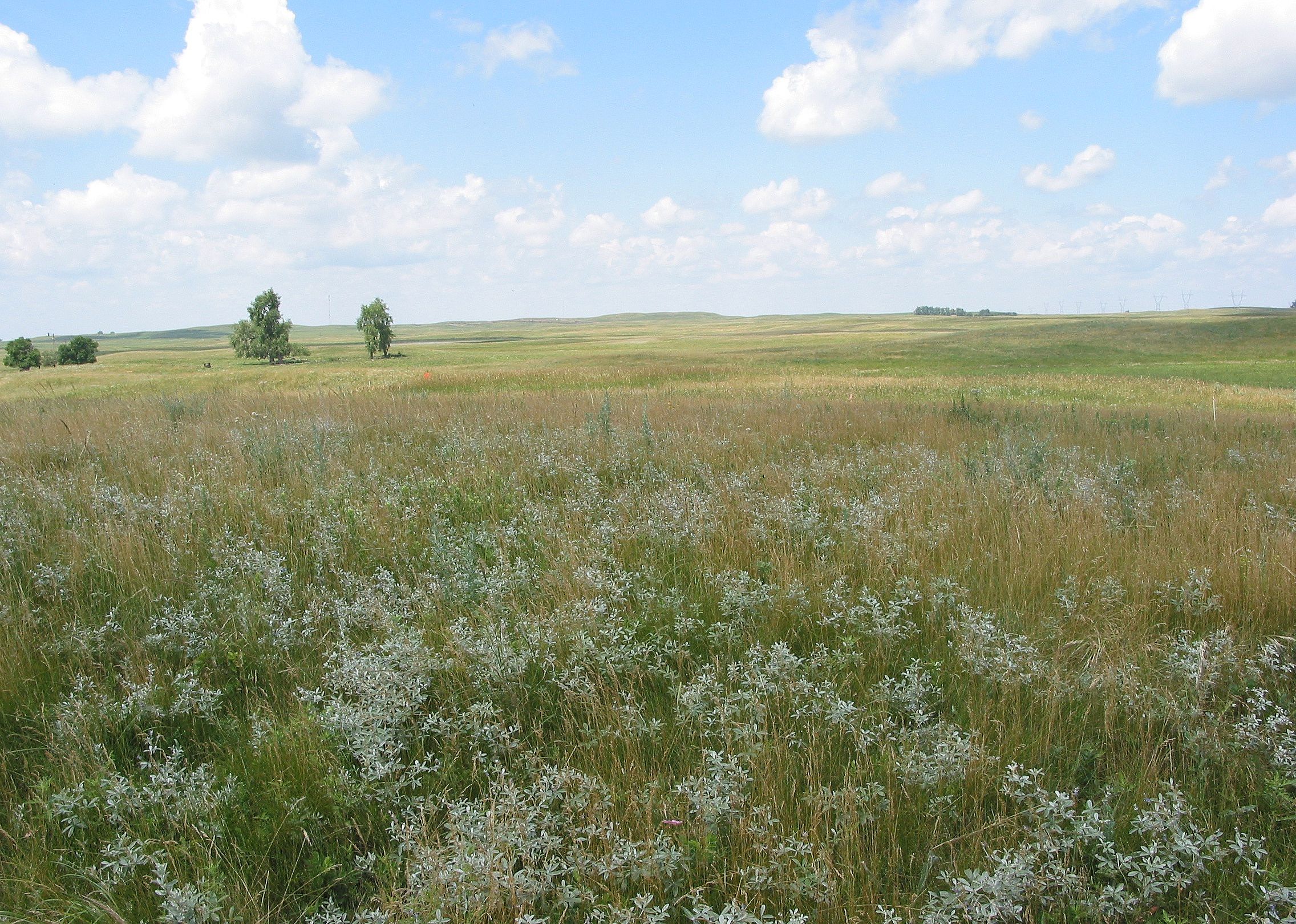 #48. Dickey County