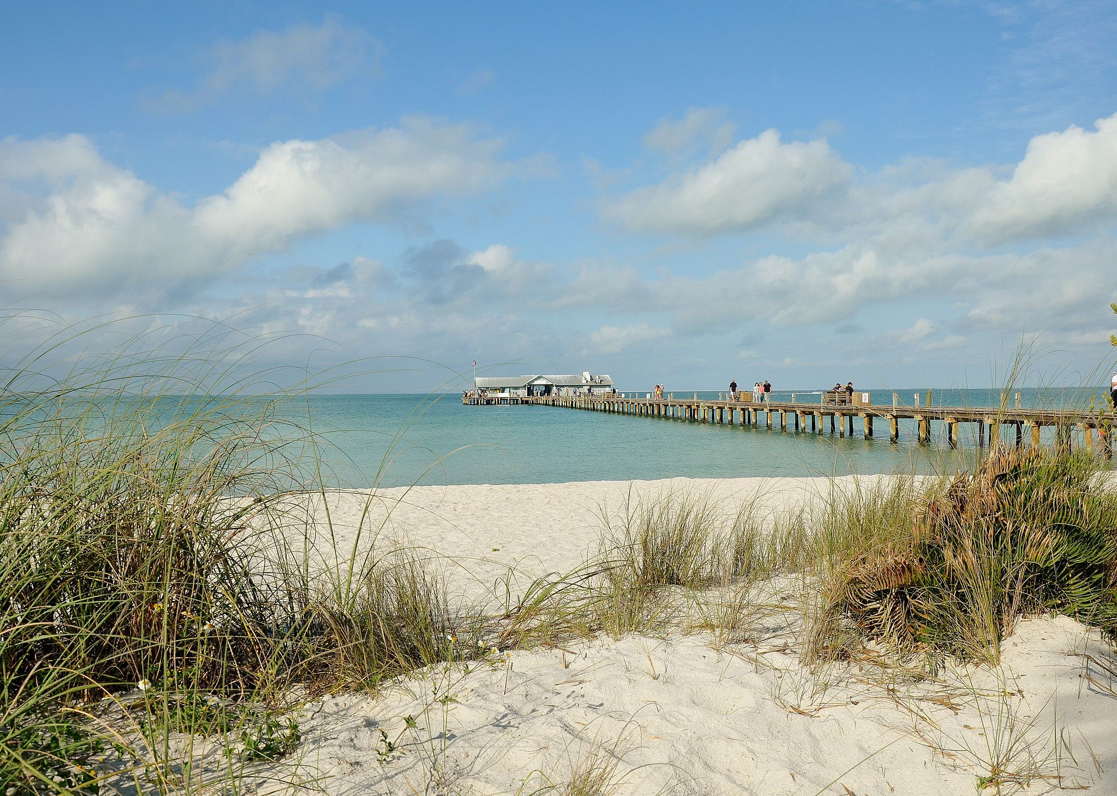 #35. Manatee County