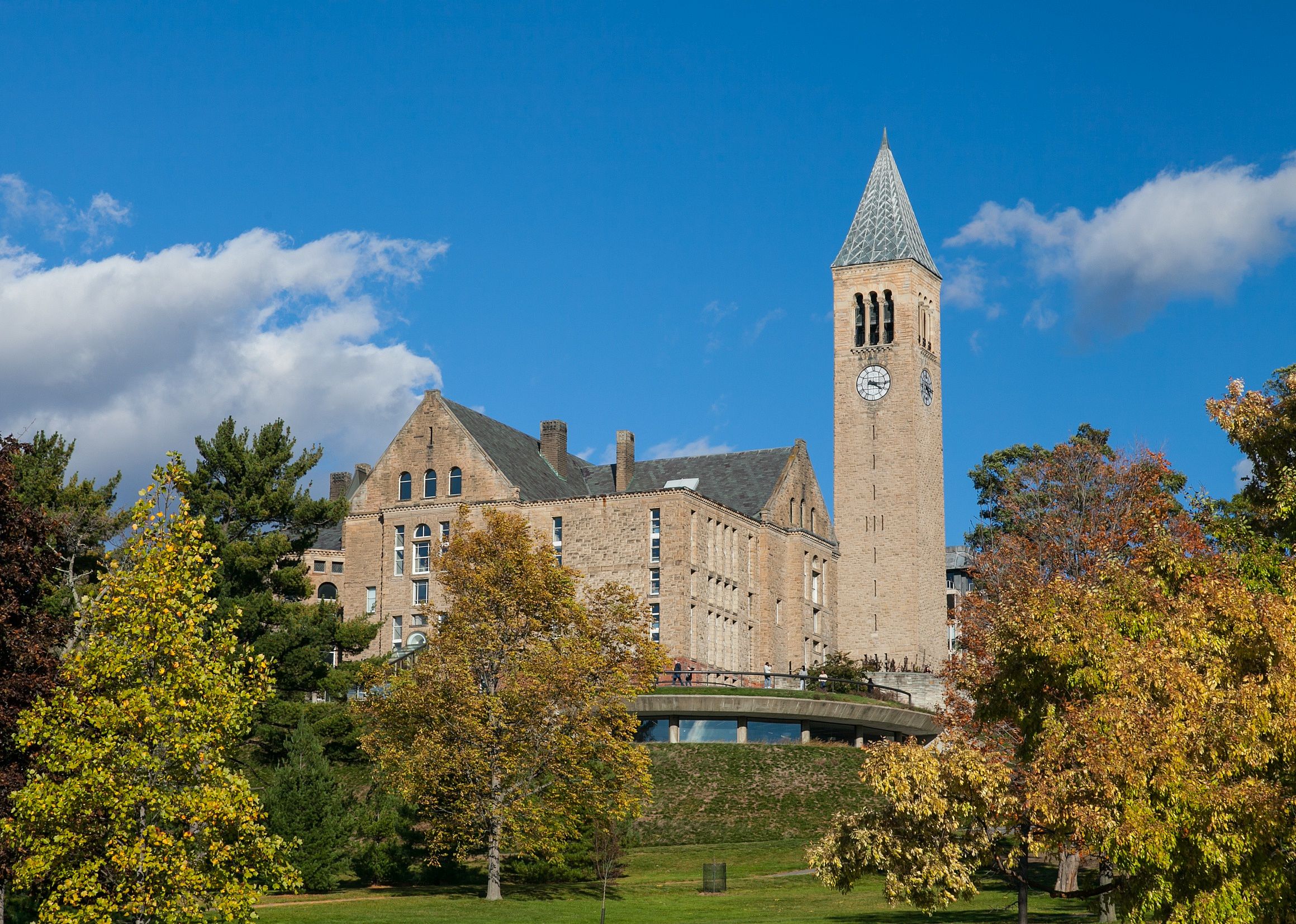 #23. Cornell University