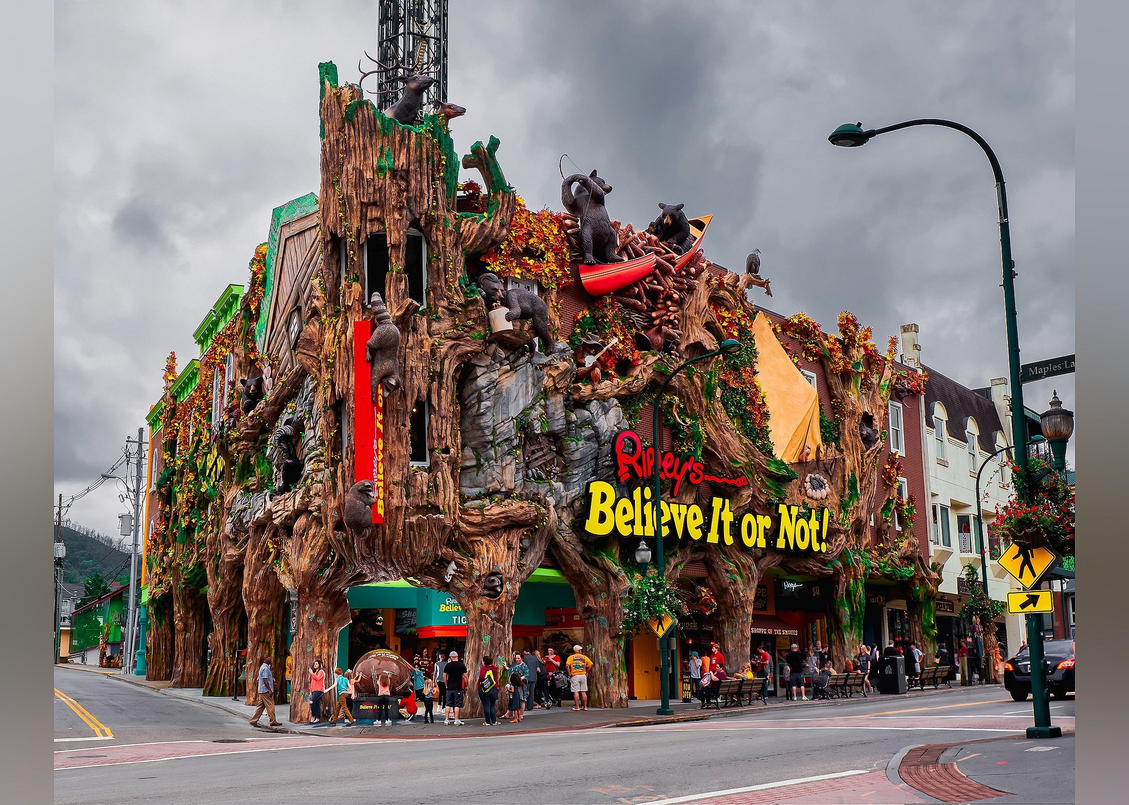#26. Ripley's Believe It or Not! Gatlinburg