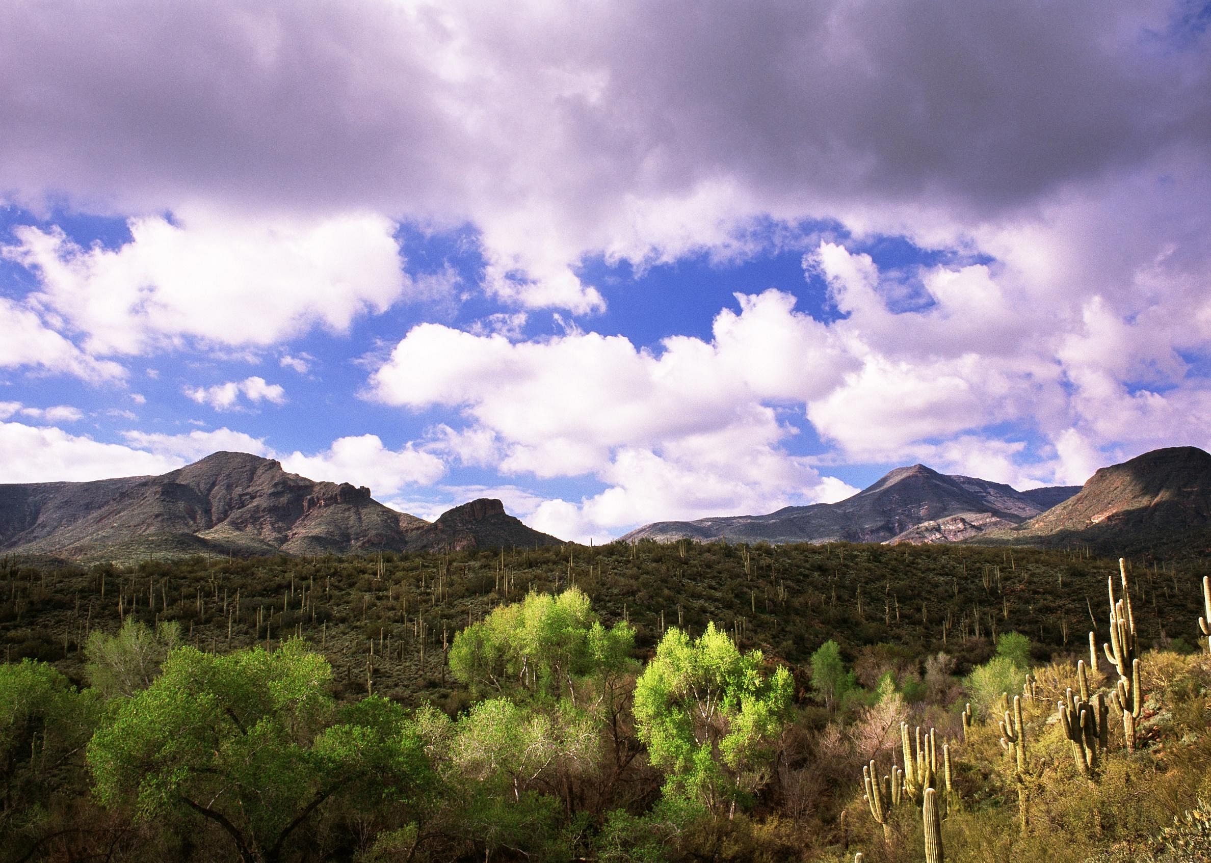 Arizona: Green Valley