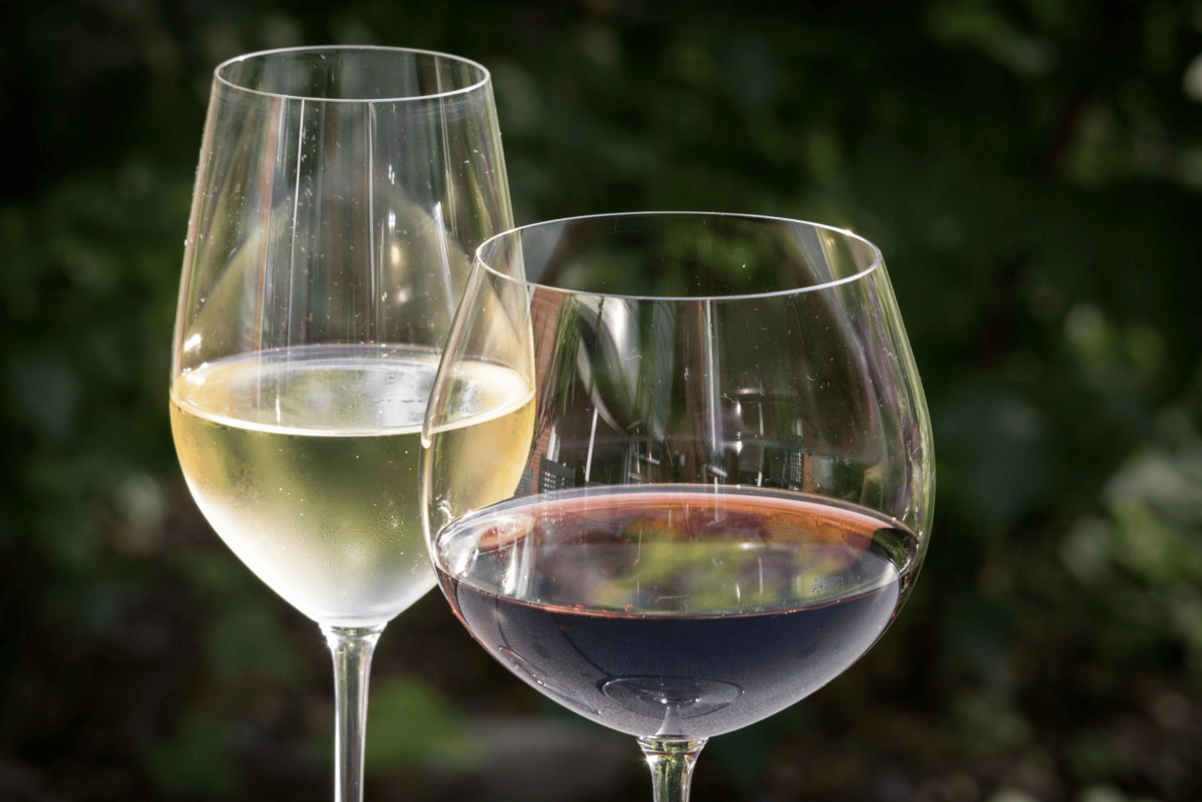 Washington: Wine
