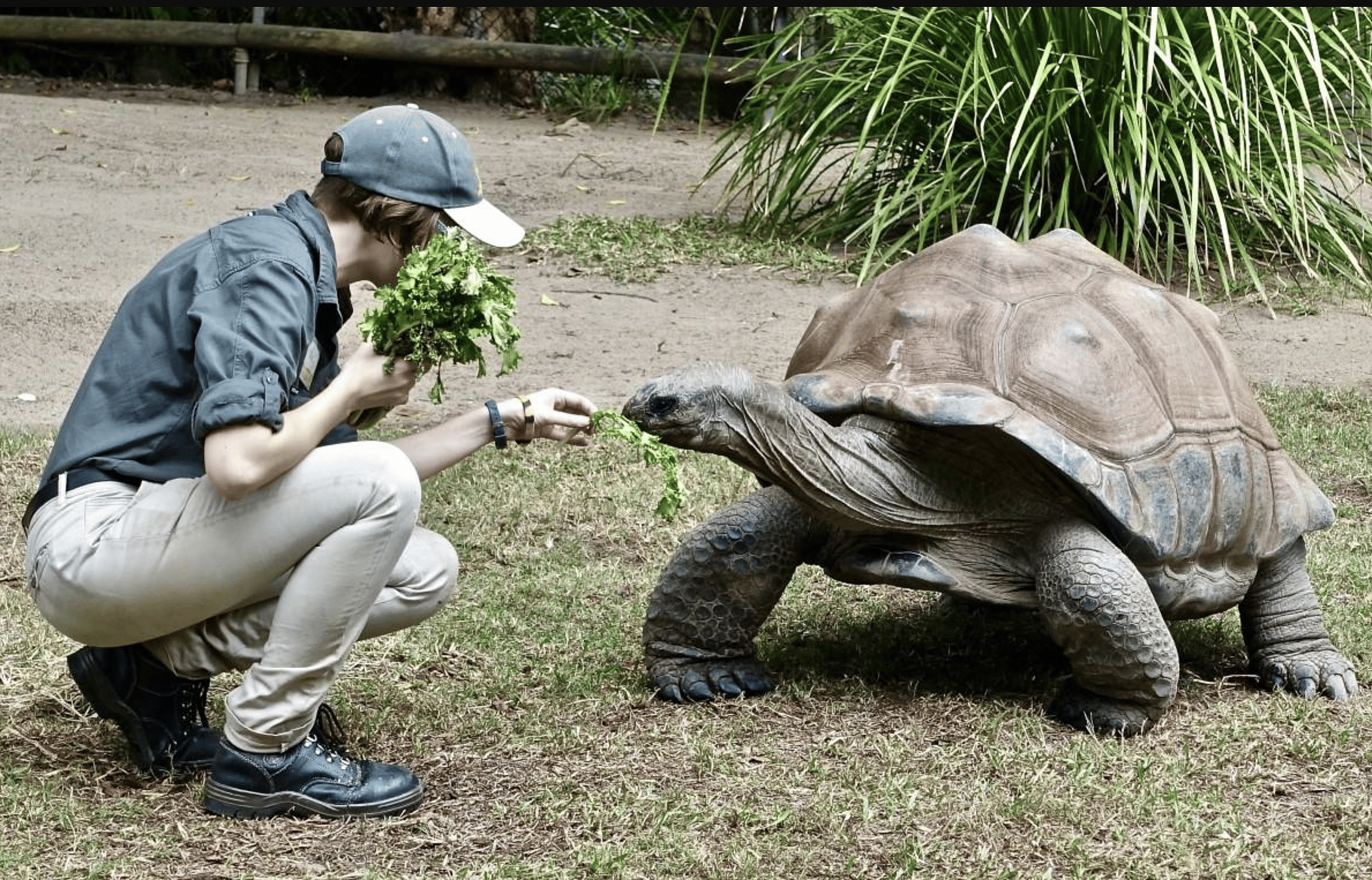 #35. Animal and plant sciences