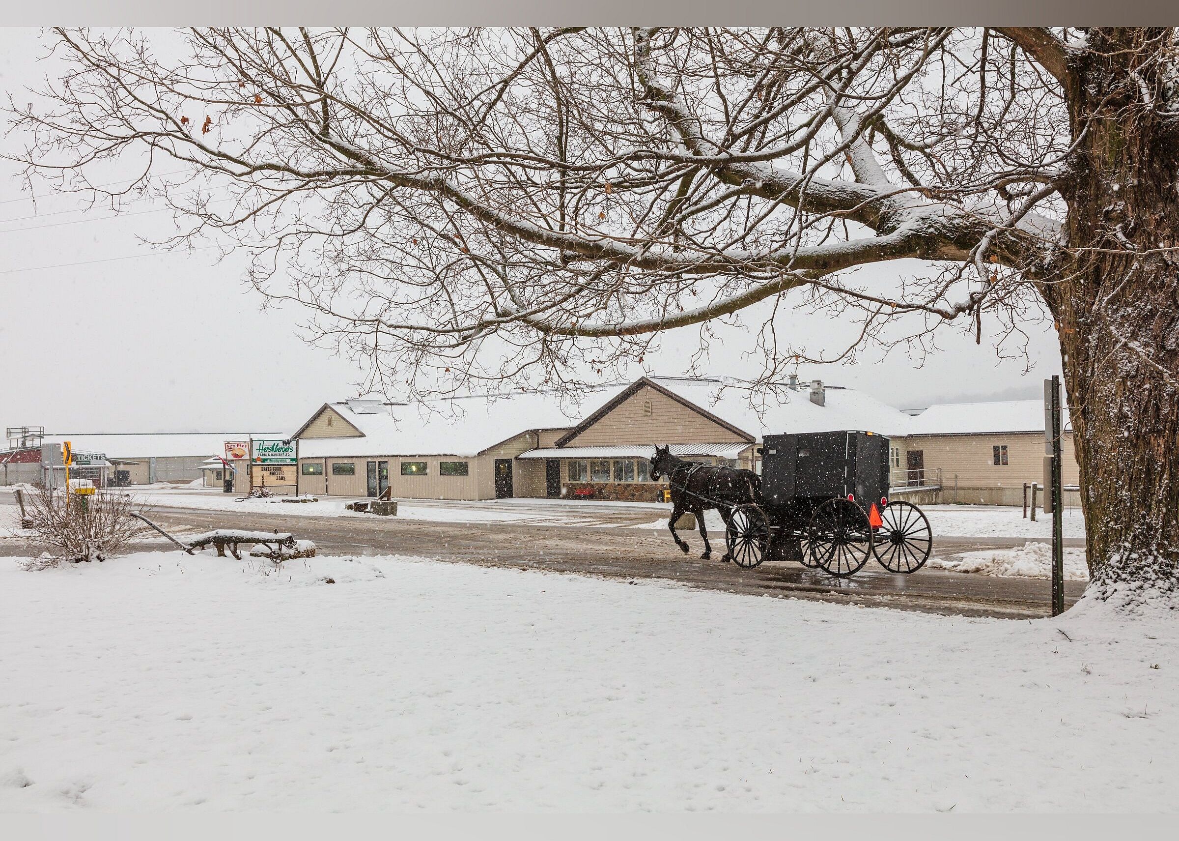 #22. Hershberger's Farm & Bakery