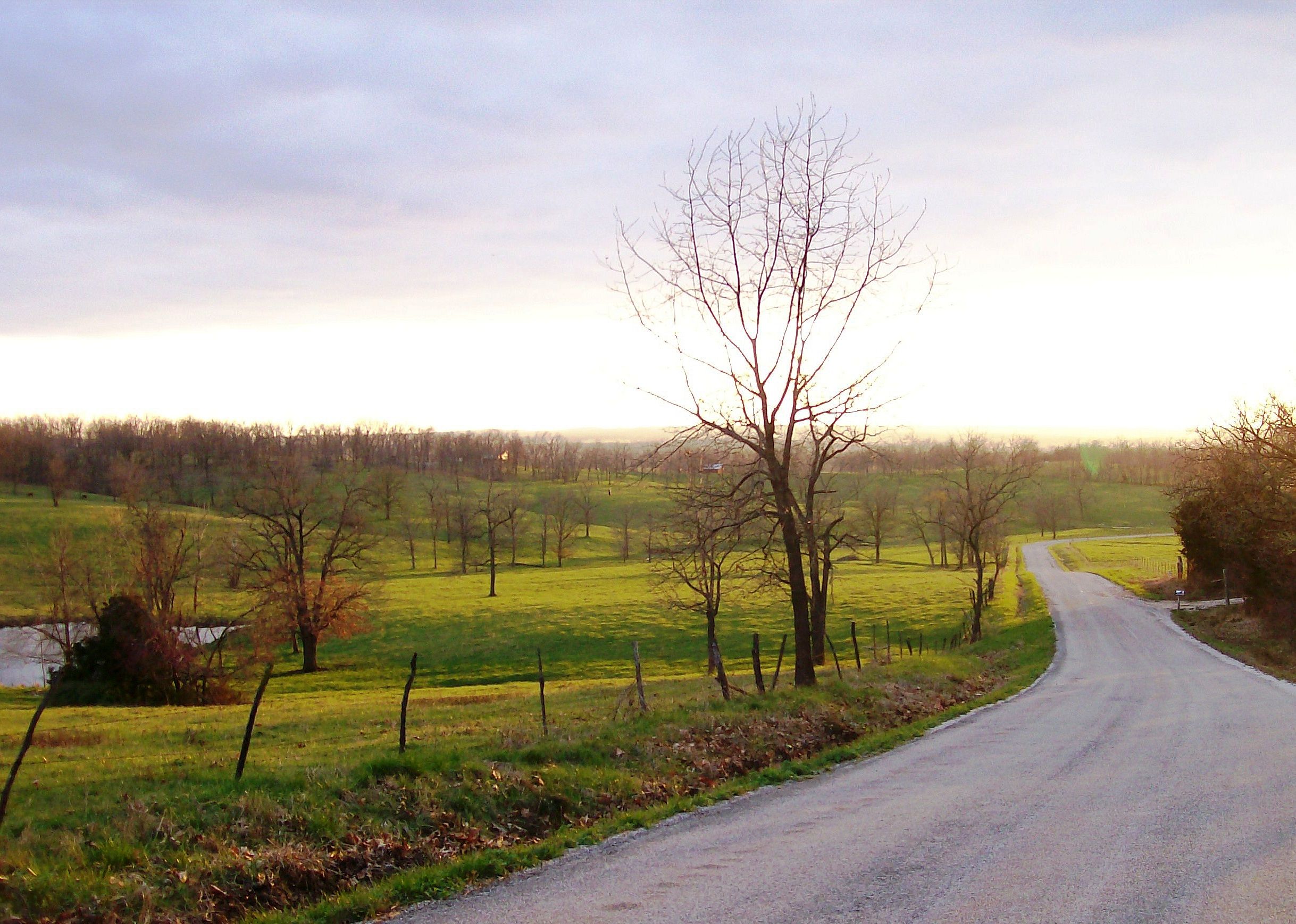 #4. Polk County, MO