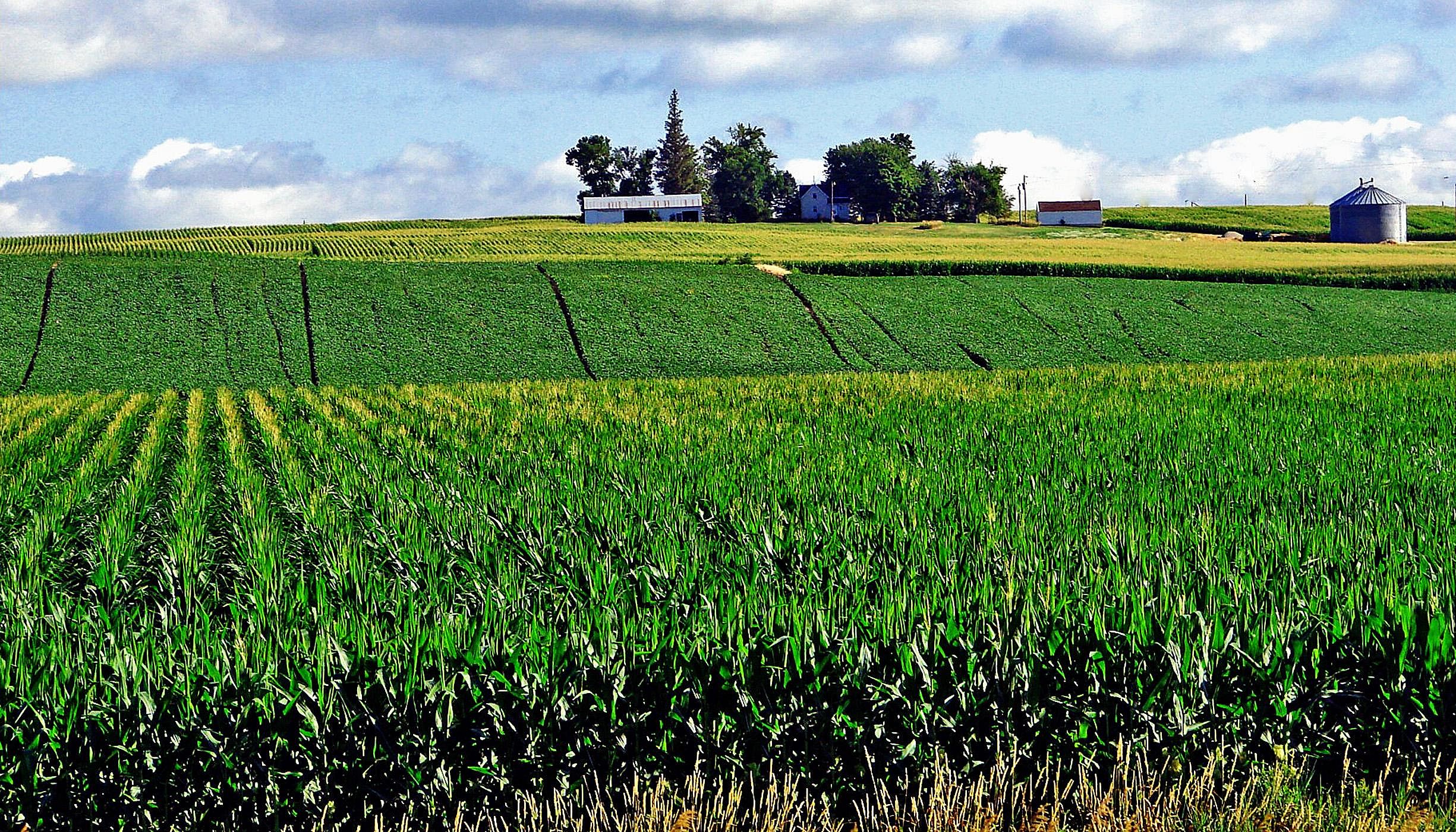 #9. Iowa