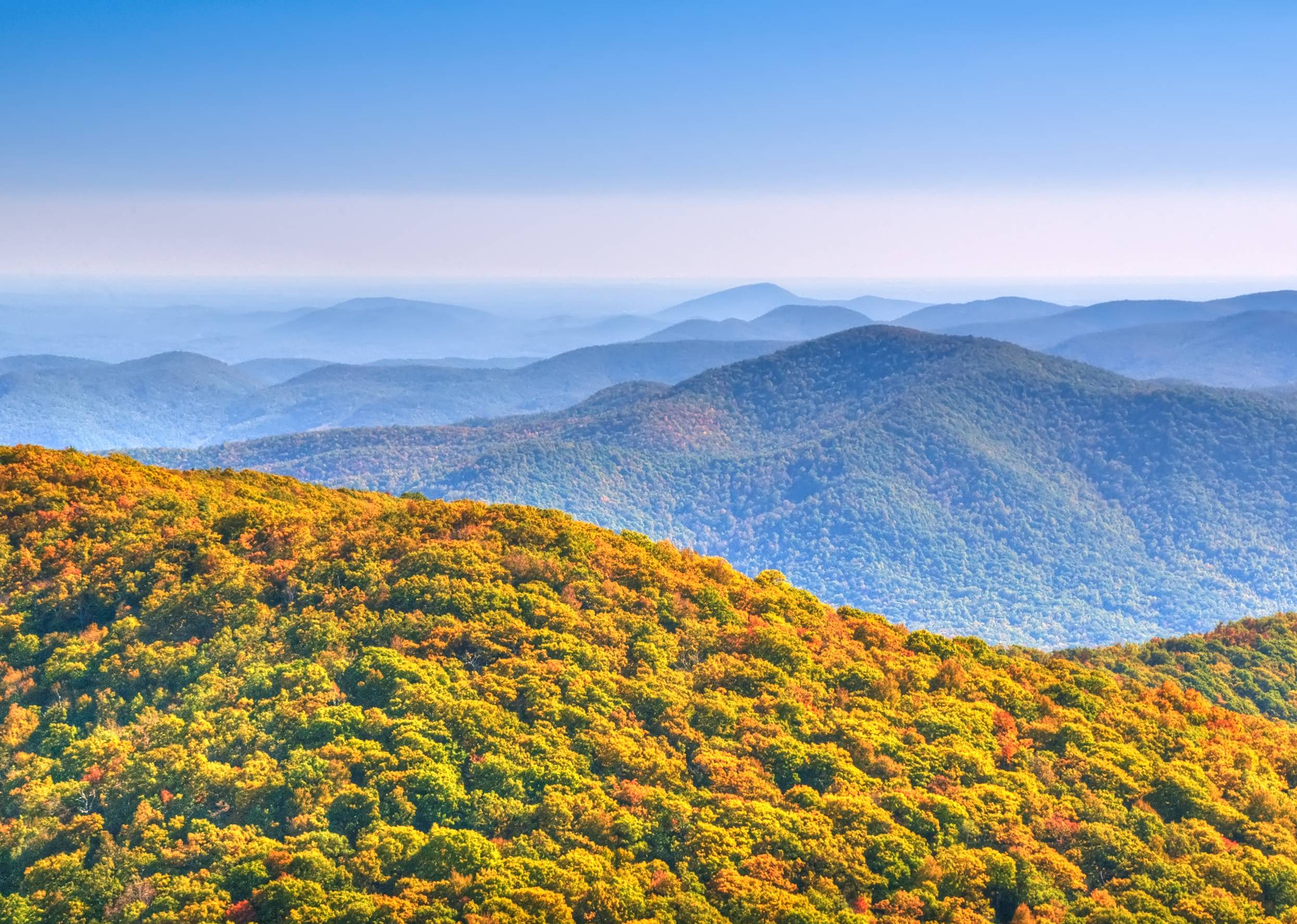 Georgia