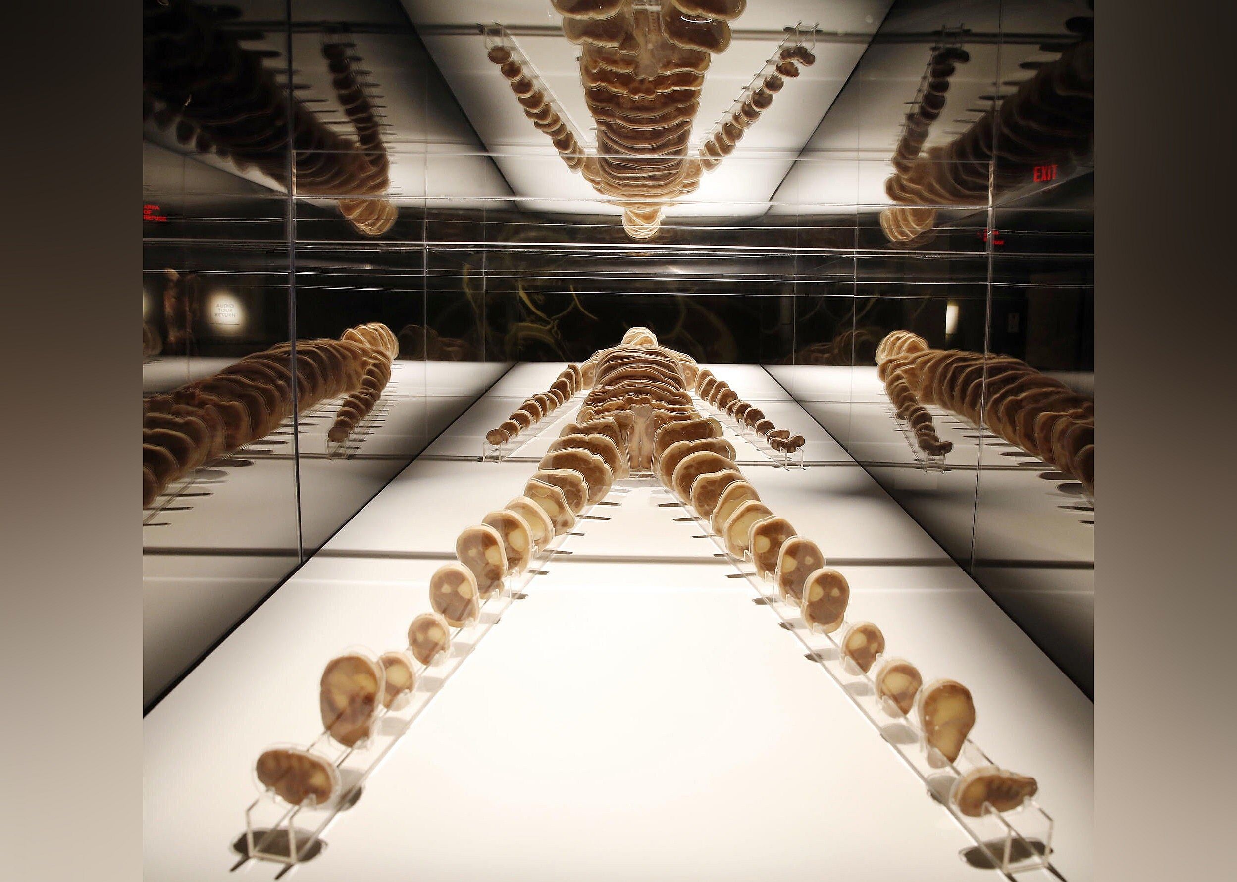 #9. Bodies The Exhibition
