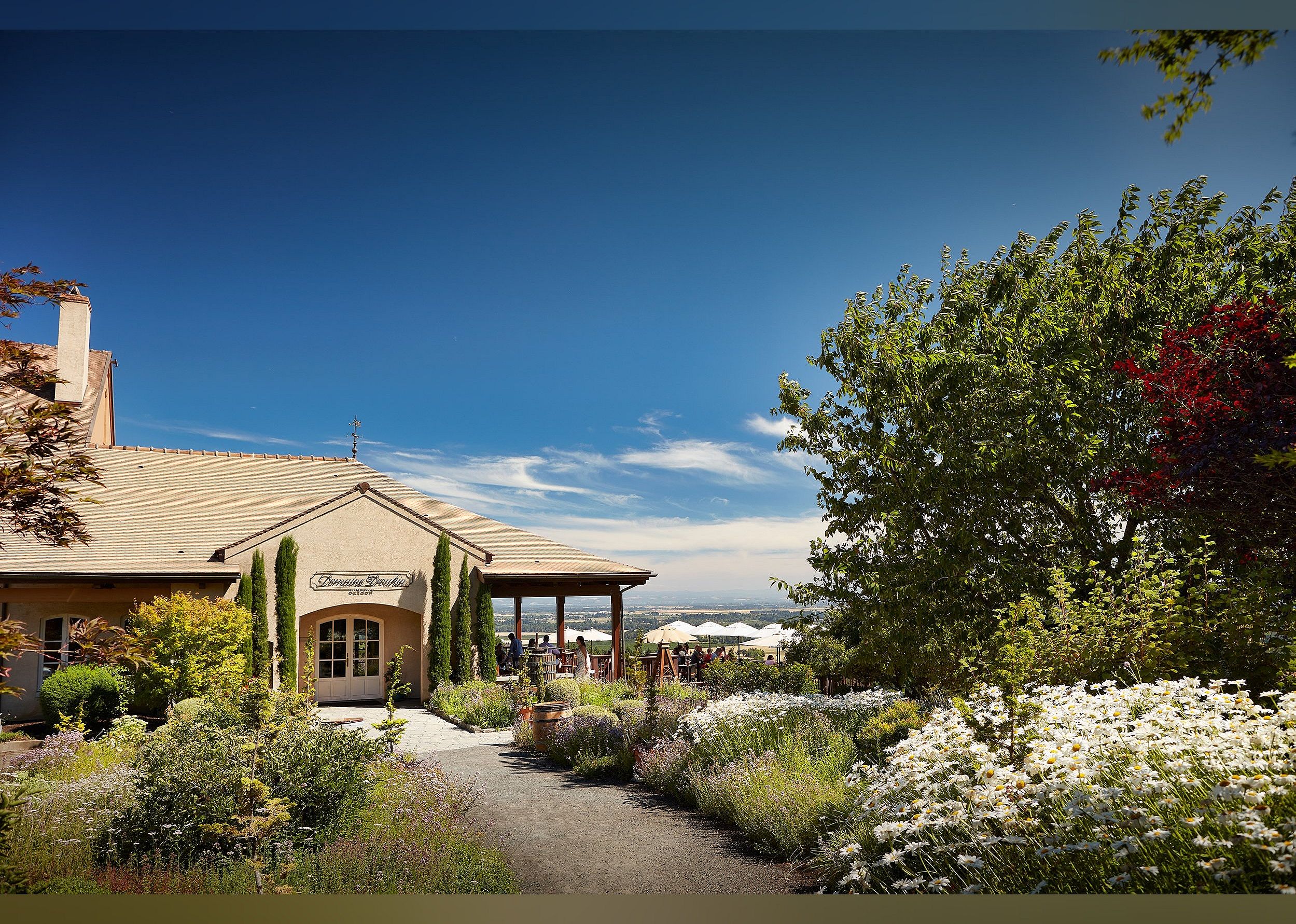 #8. Domaine Drouhin Oregon