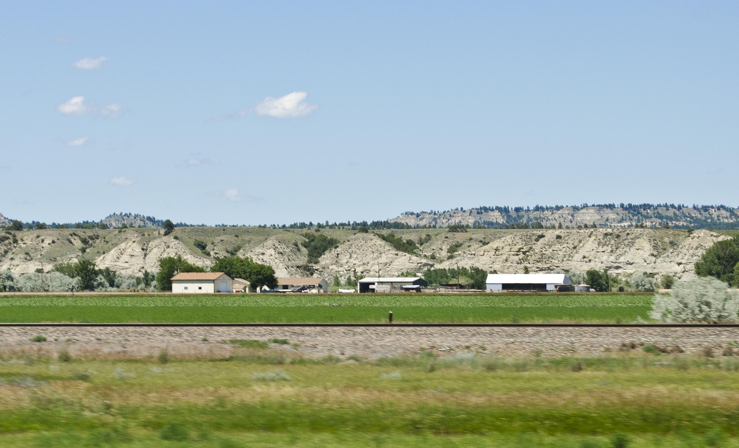 #29. Montana