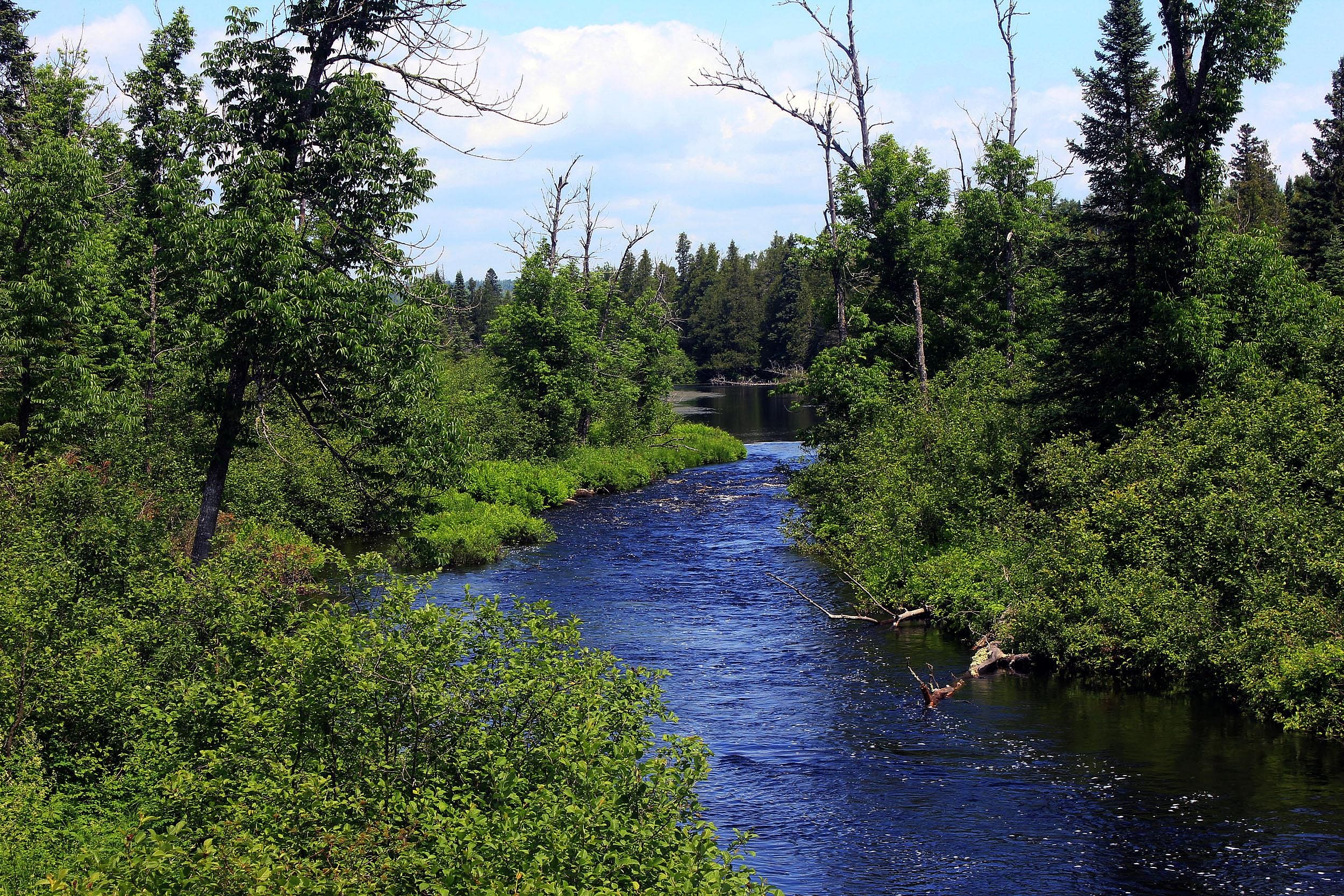 Minnesota