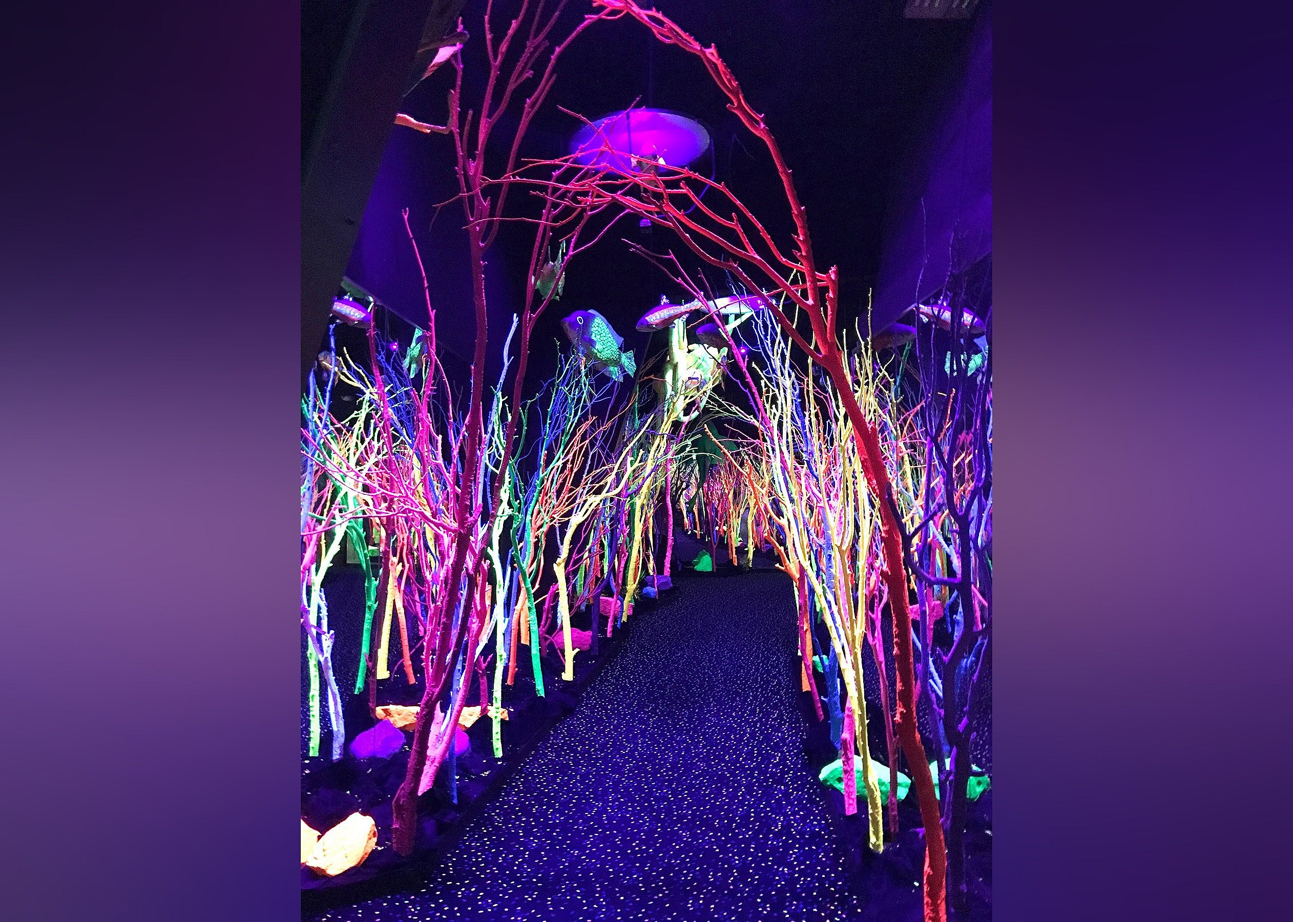 #1. Meow Wolf Santa Fe