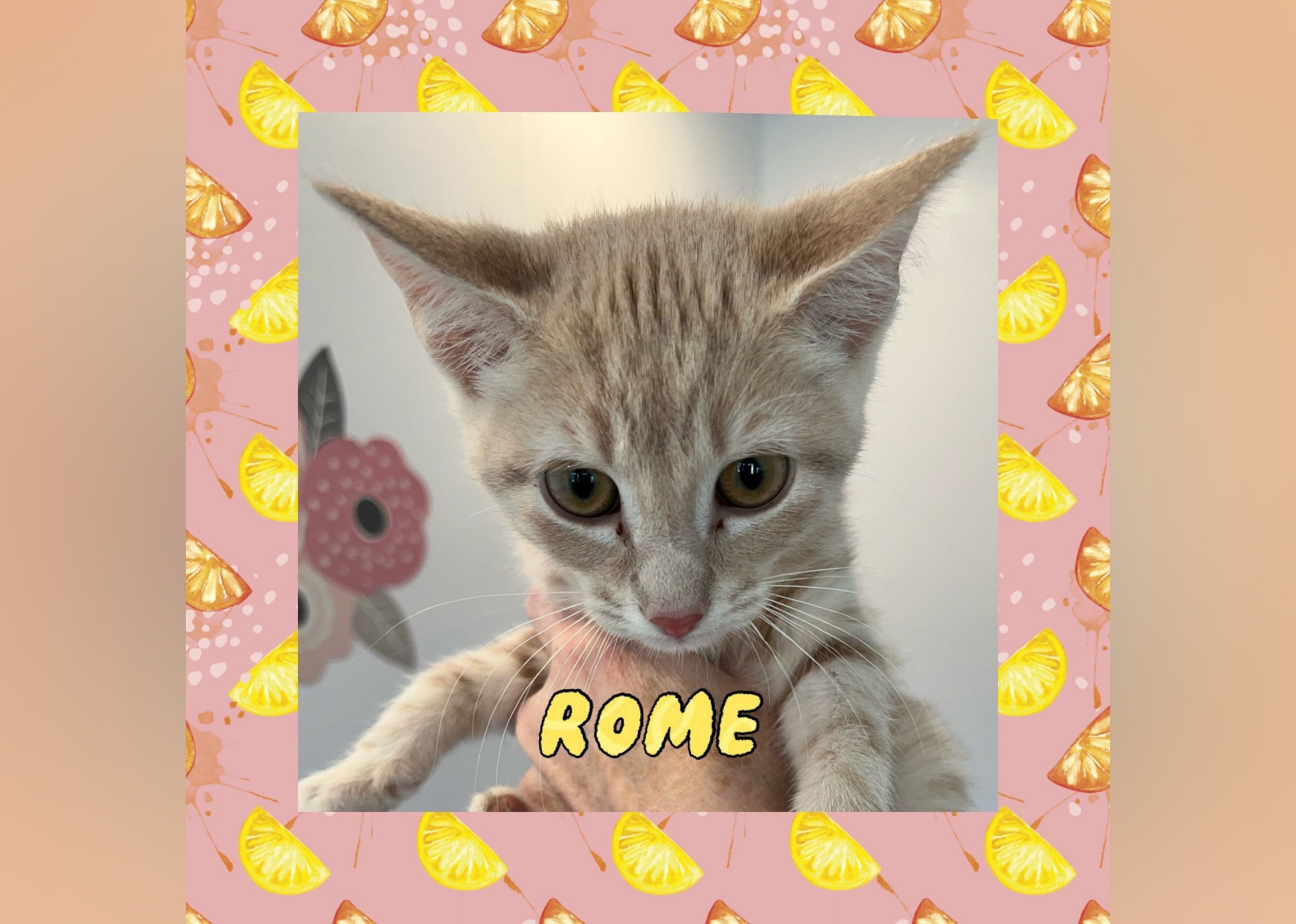 Rome