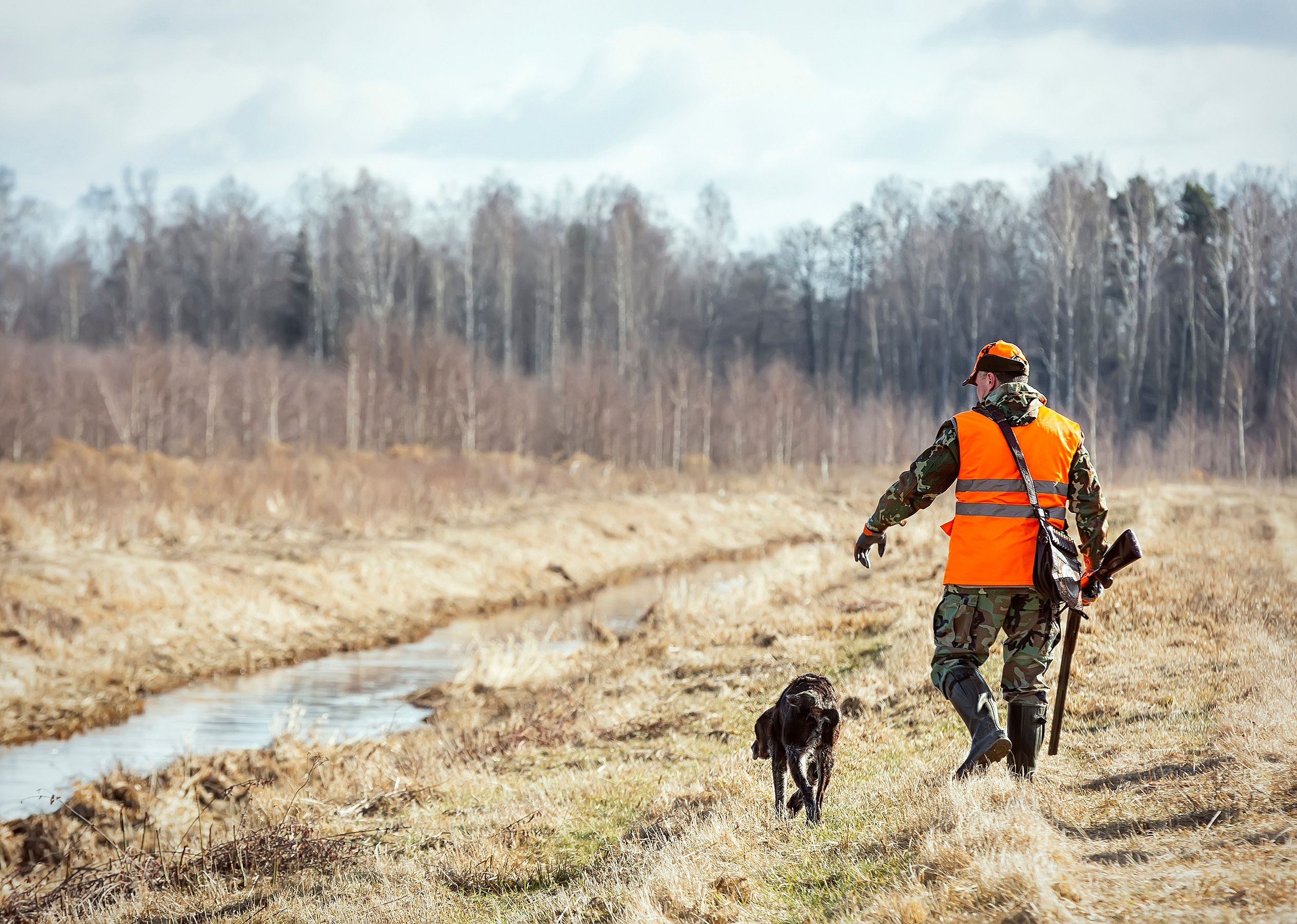 Hunter walking with rifle and a dog.