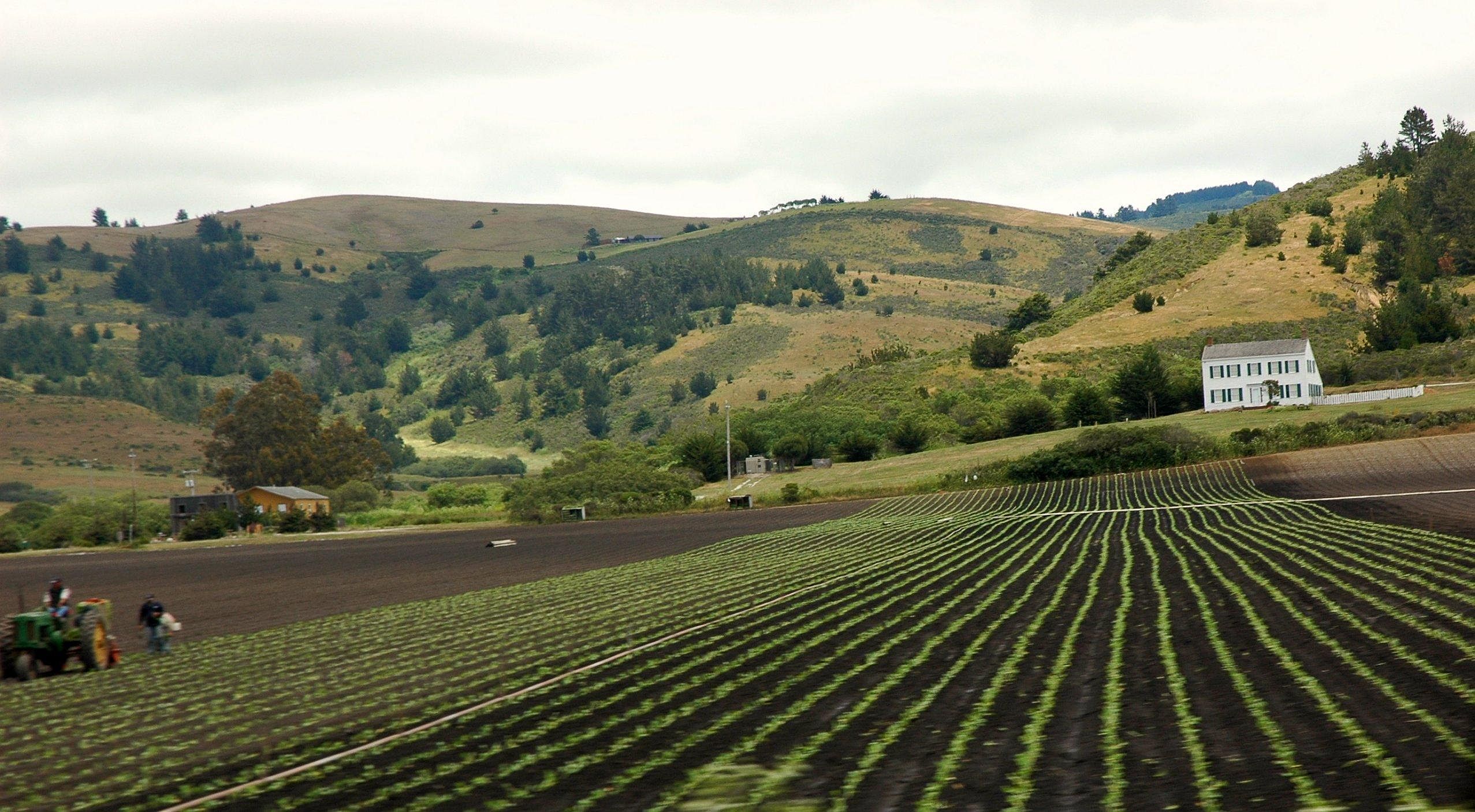 #5. California