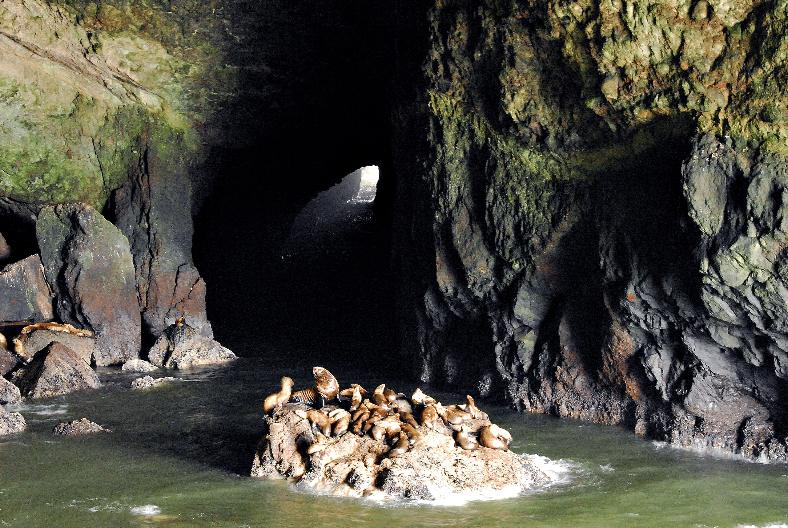 Oregon: Sea Lion Caves