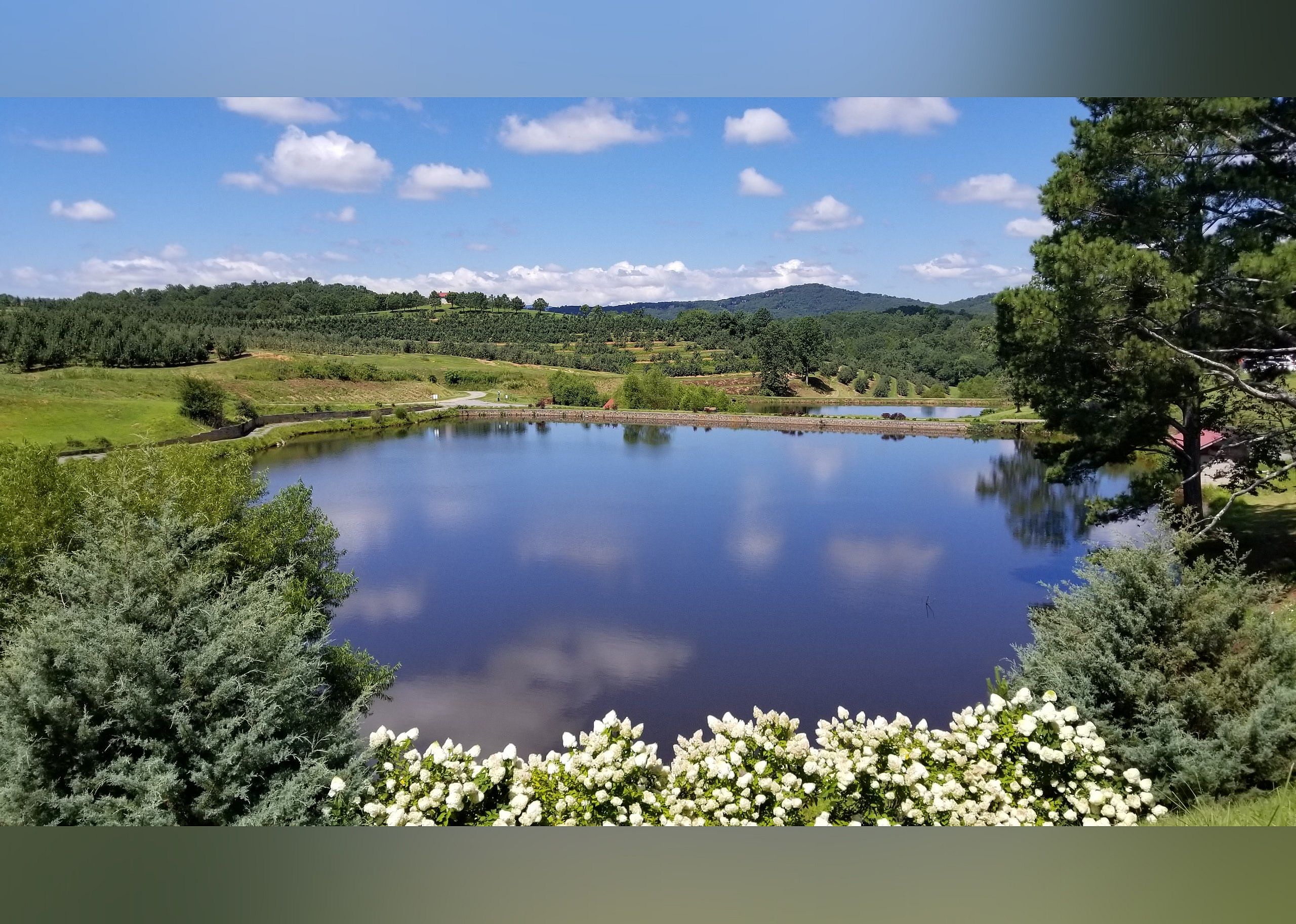 #9. Mercier Orchards