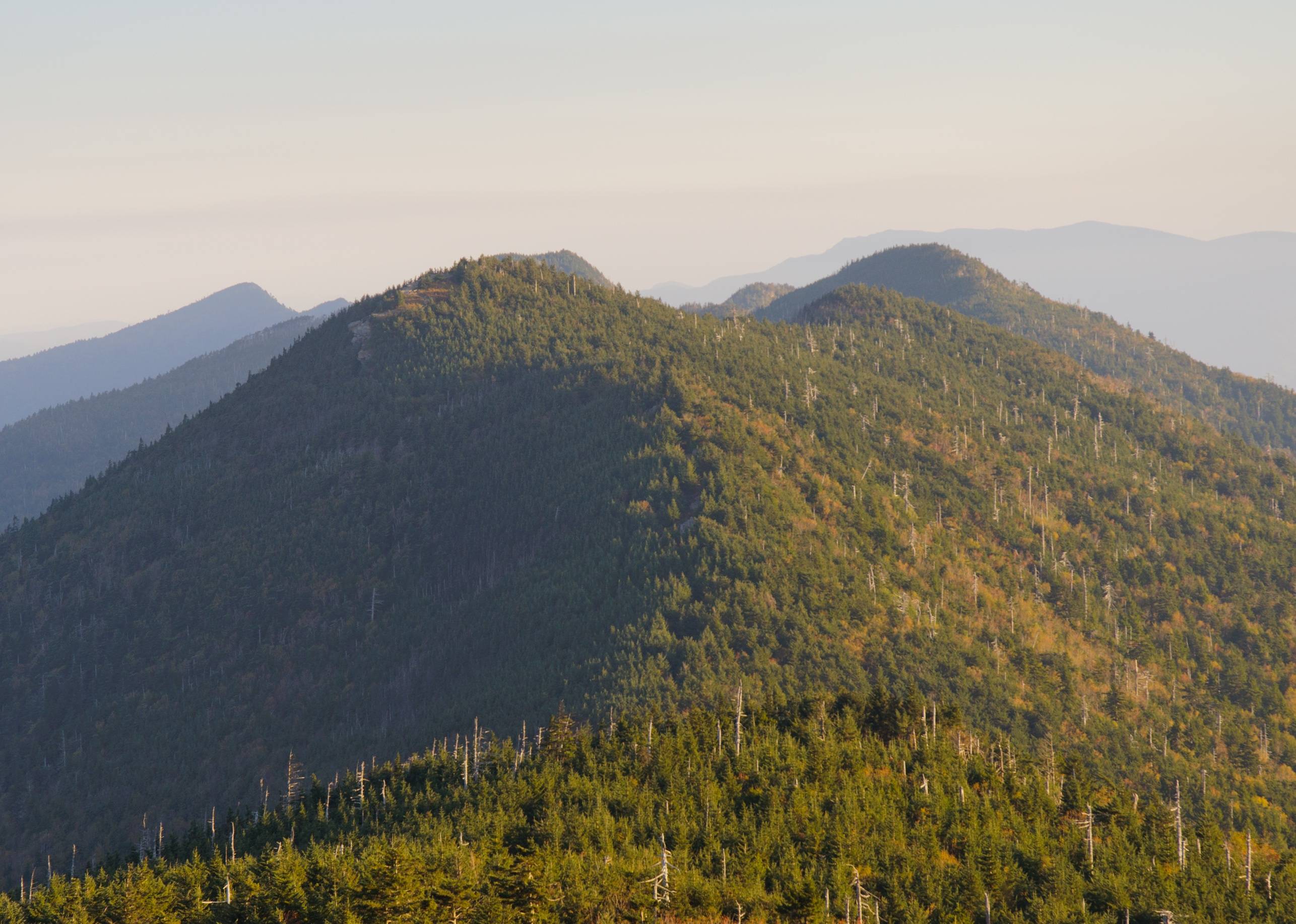 North Carolina