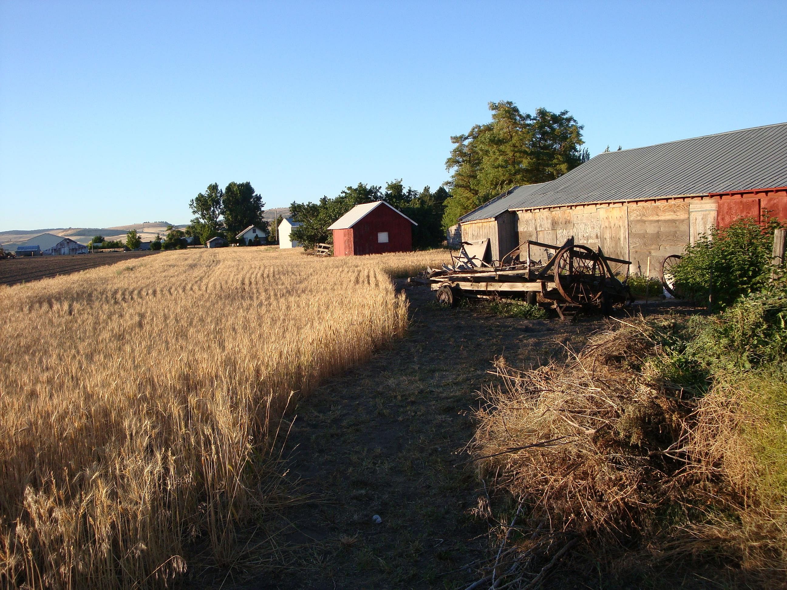 #16. Oregon