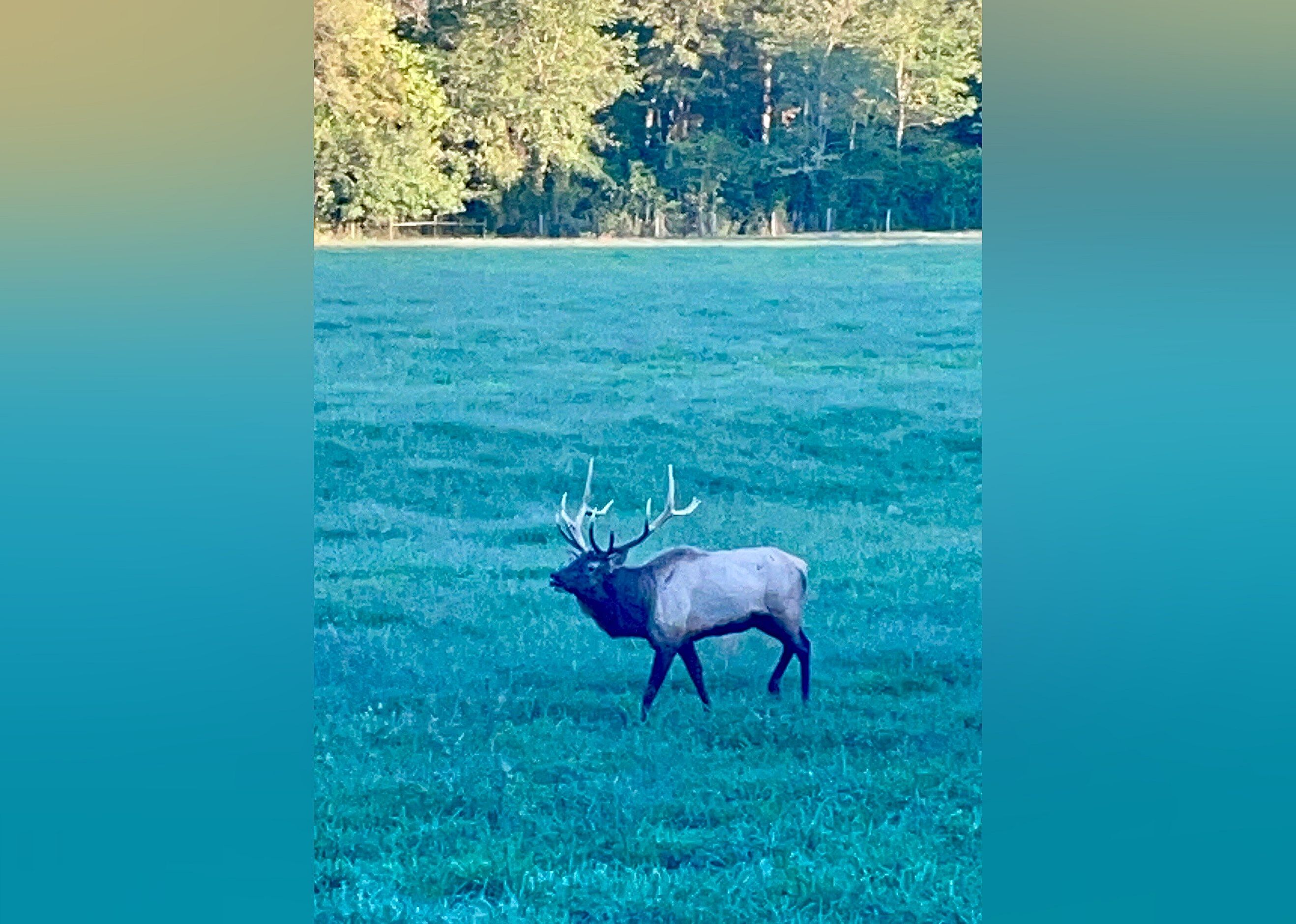#27. Ponca Elk Education Center