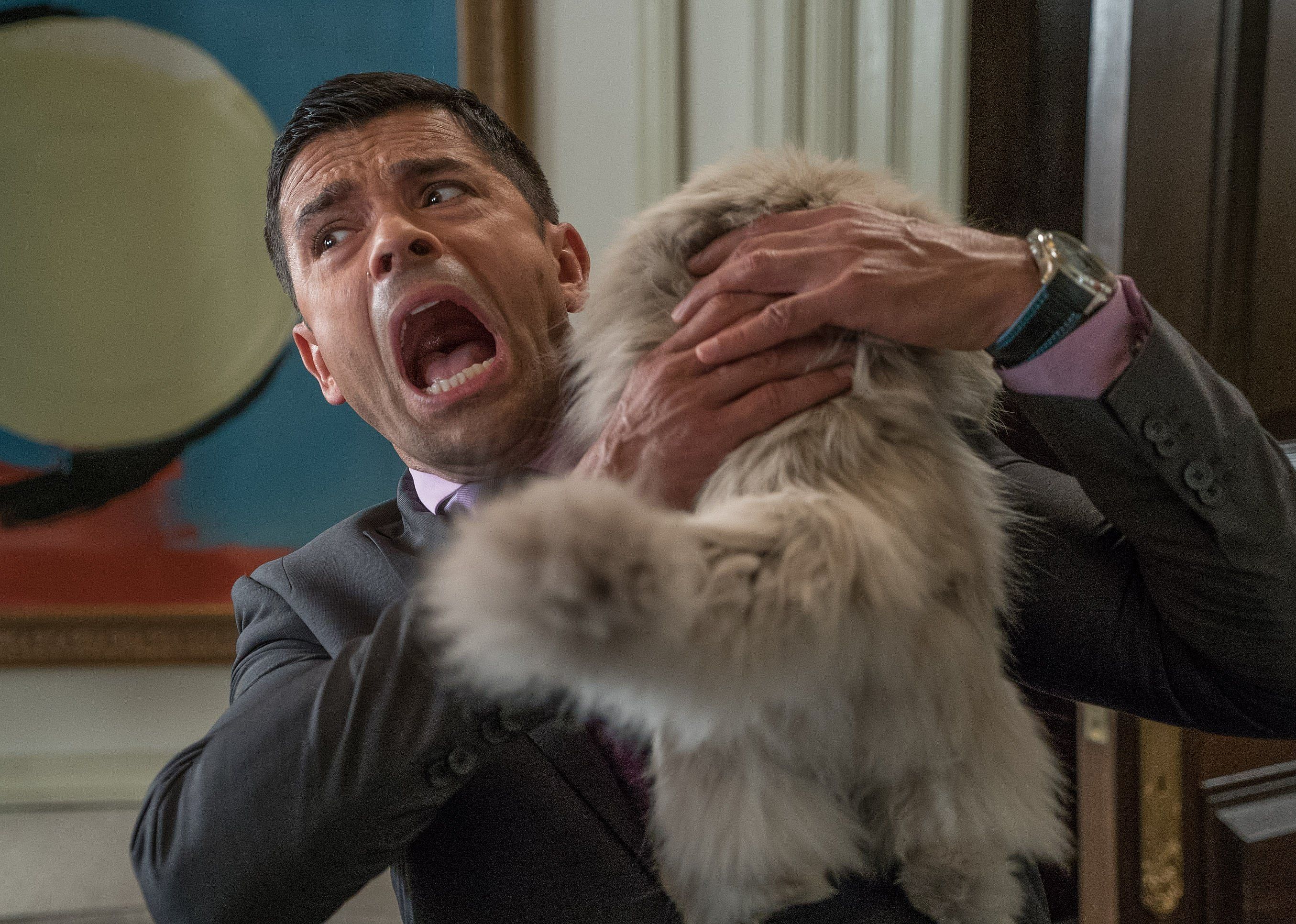 #33. Nine Lives (2016)