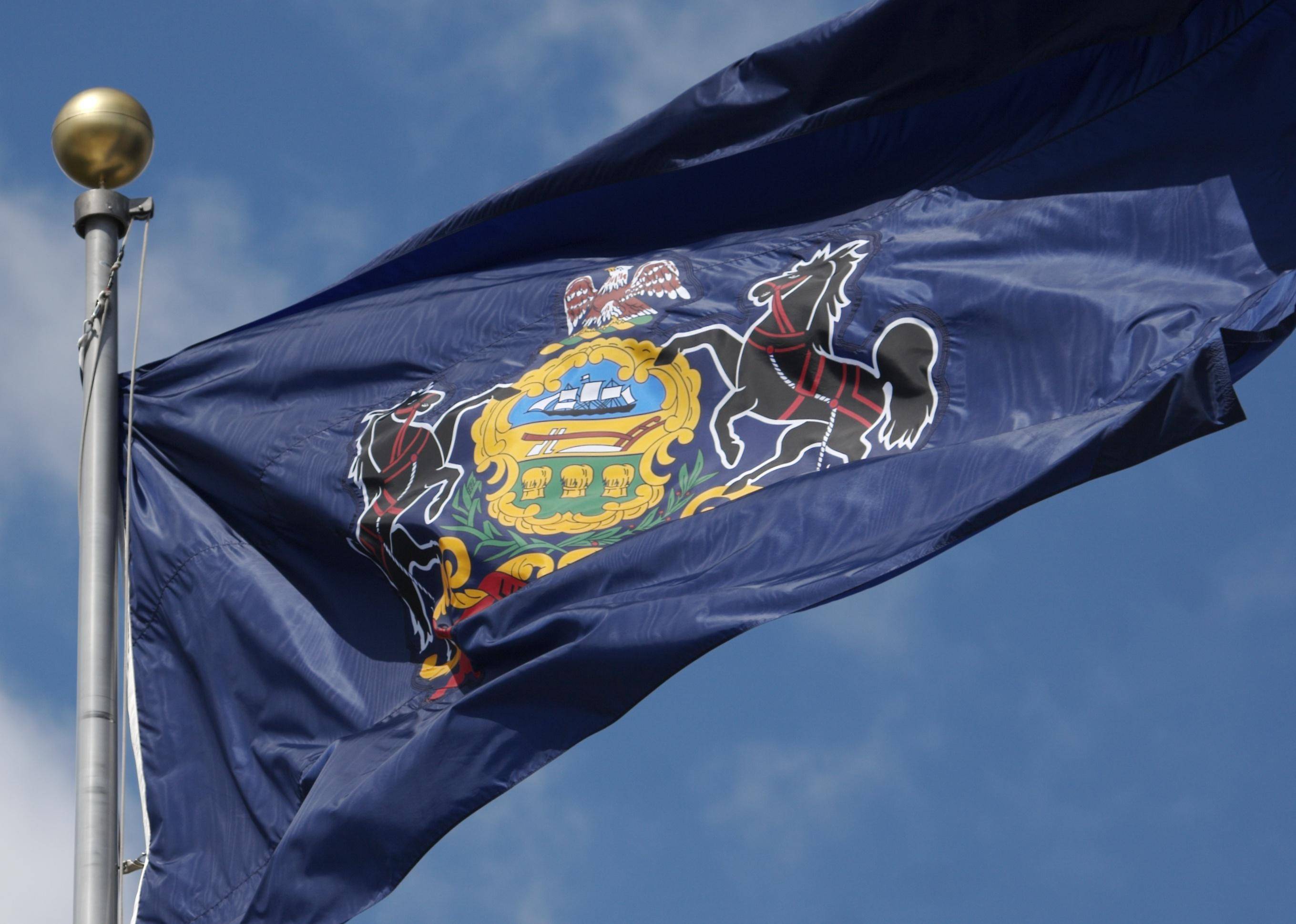 Flag #38