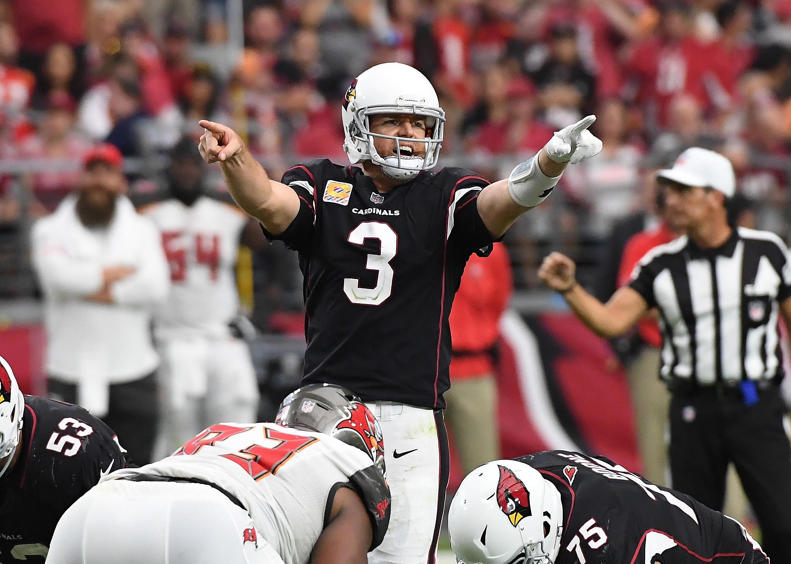 #19. Carson Palmer