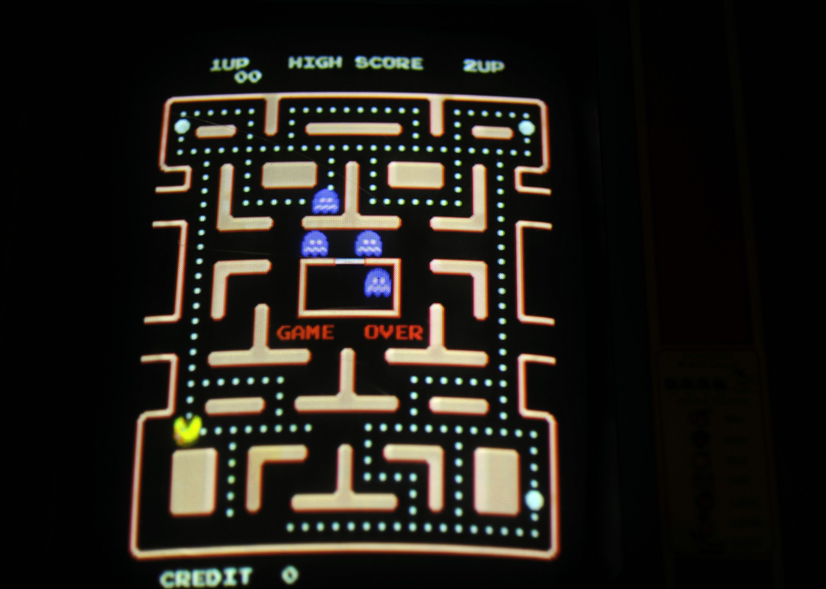 Ms. Pac-Man