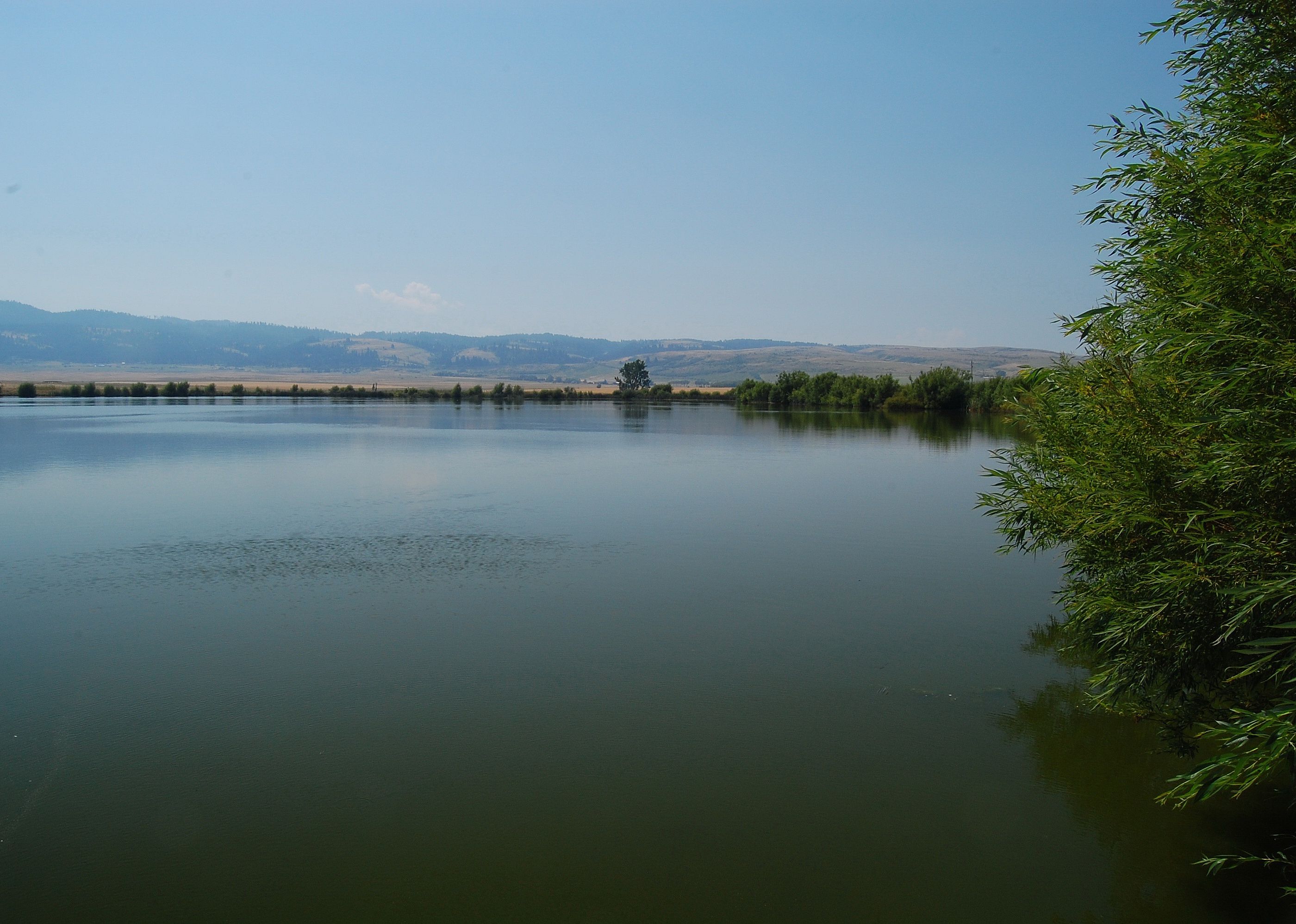 #44. Idaho County