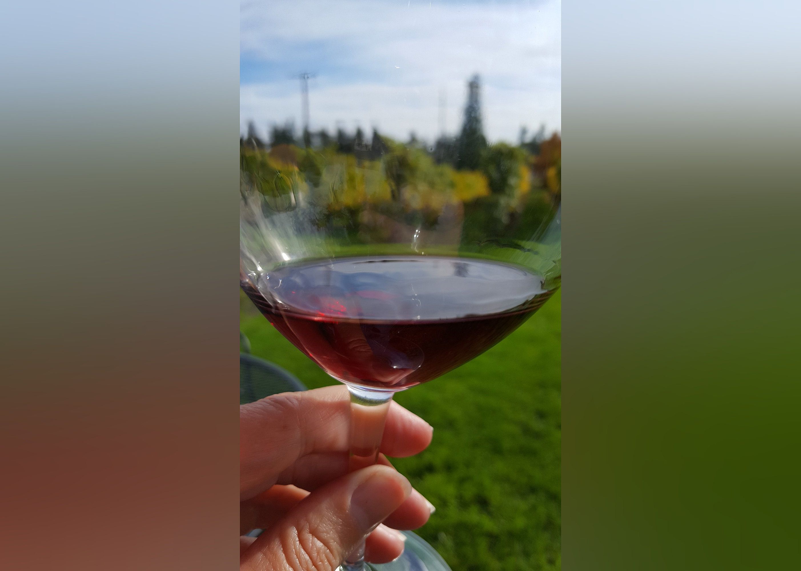 #21. The Four Graces Winery