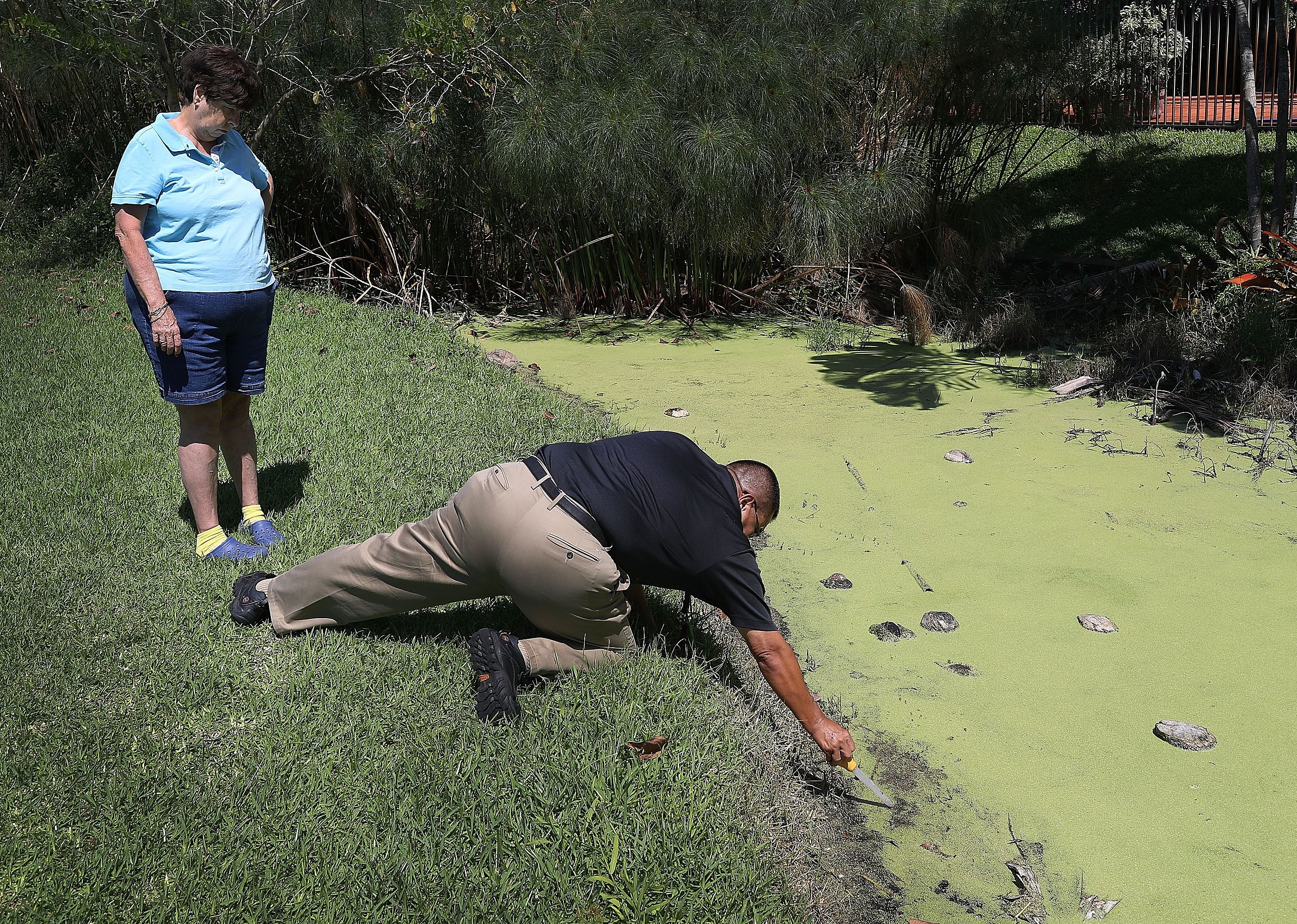 A woman watches as a mosquito control manager checks a green body of water.