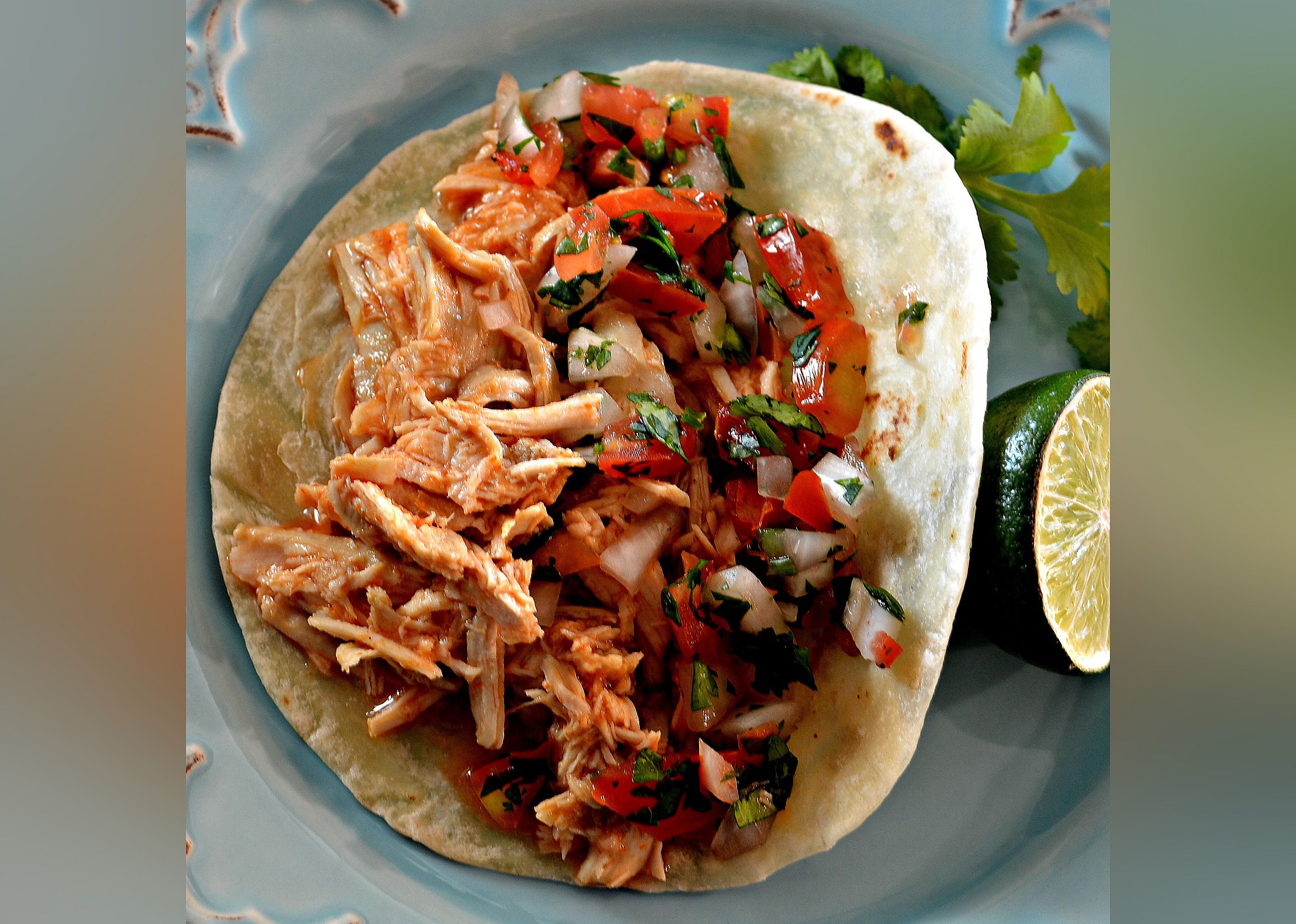 Sarah's Easy Shredded Chicken Taco Filling